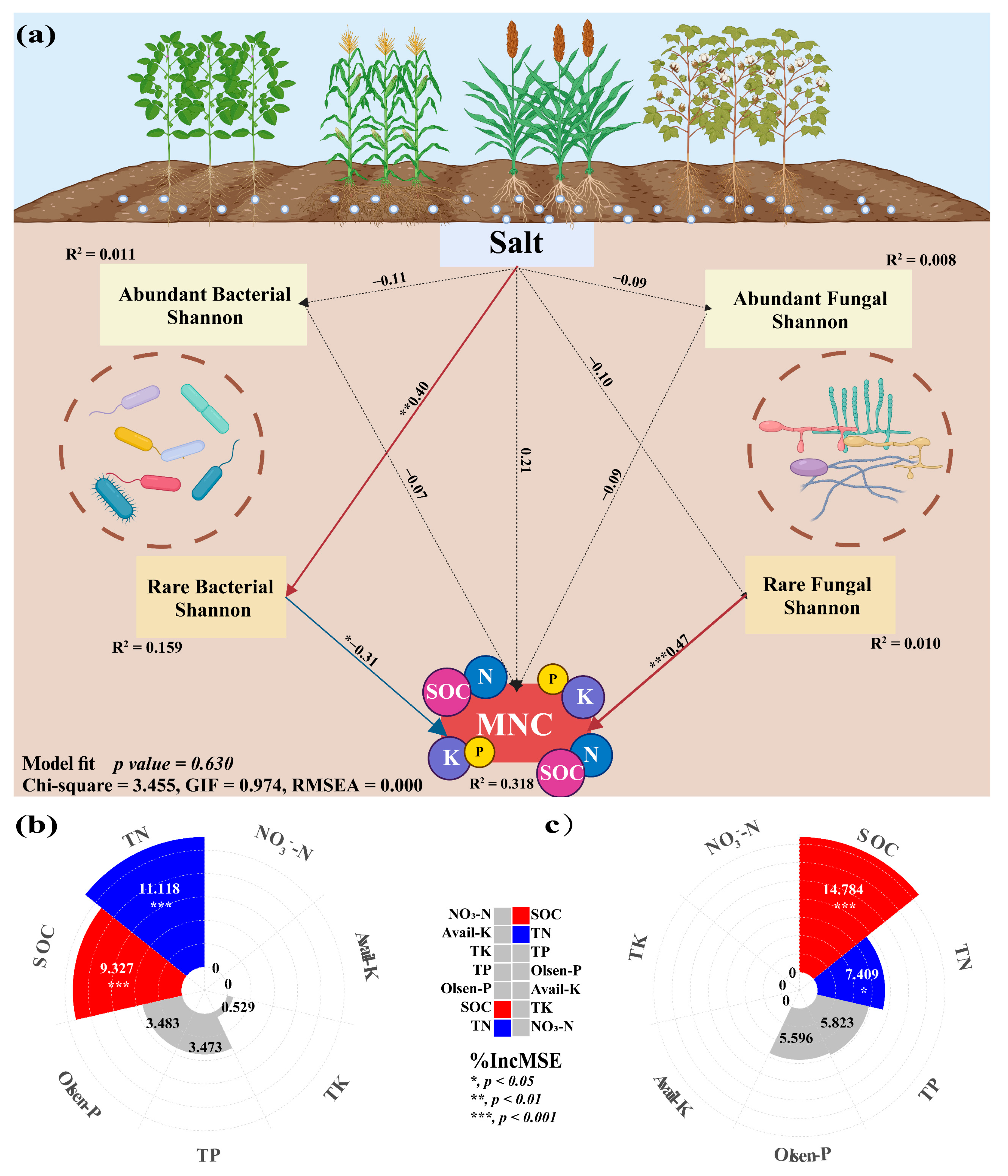 Microorganisms 13 00513 g007