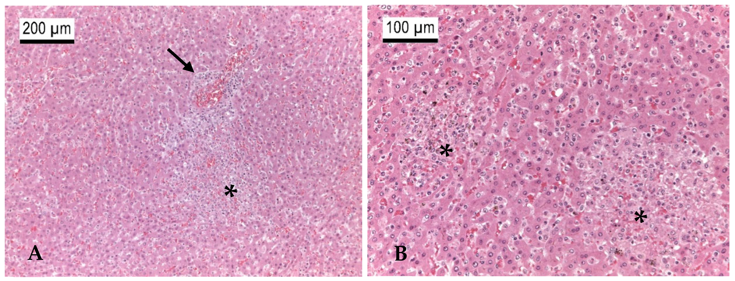 Microorganisms 13 00516 g003