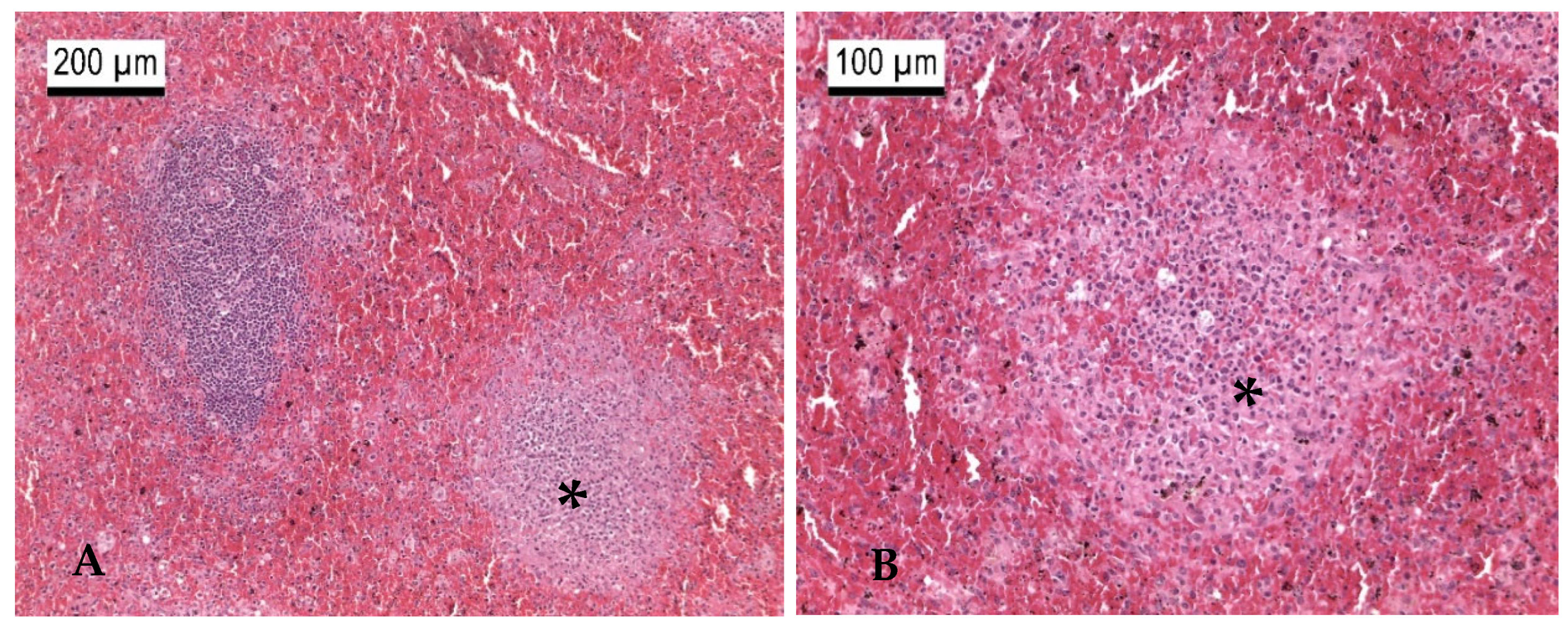 Microorganisms 13 00516 g004