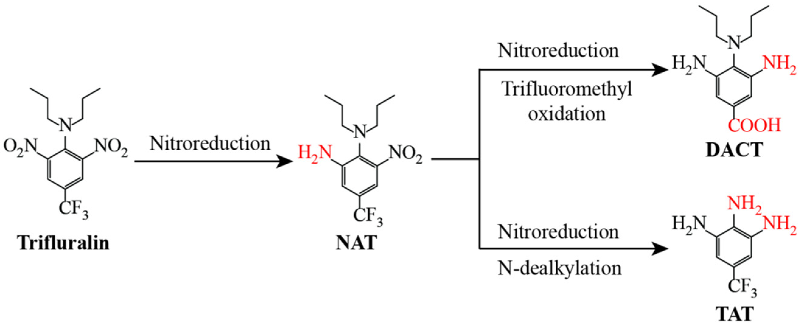 Microorganisms 13 00520 g004