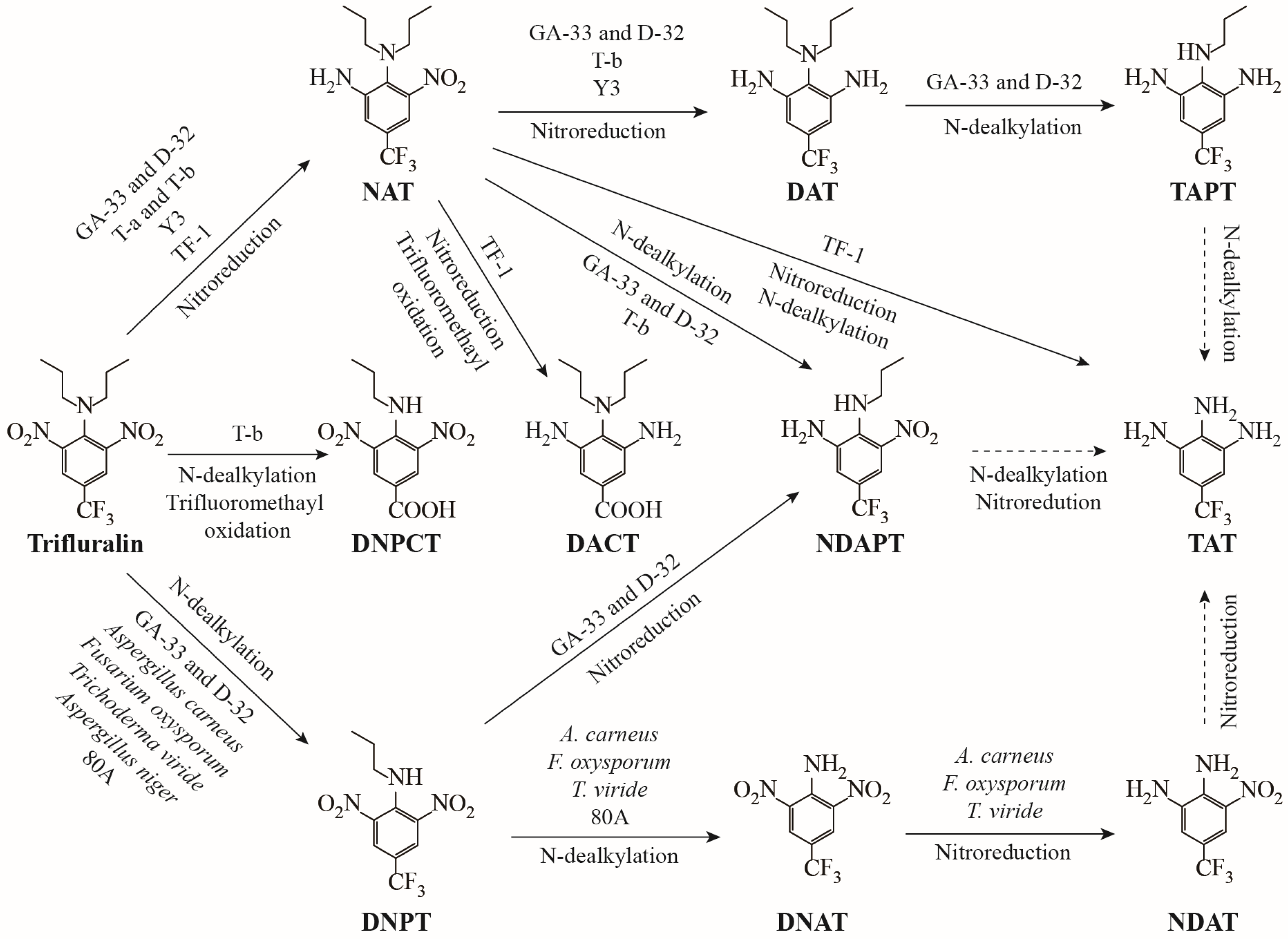 Microorganisms 13 00520 g007