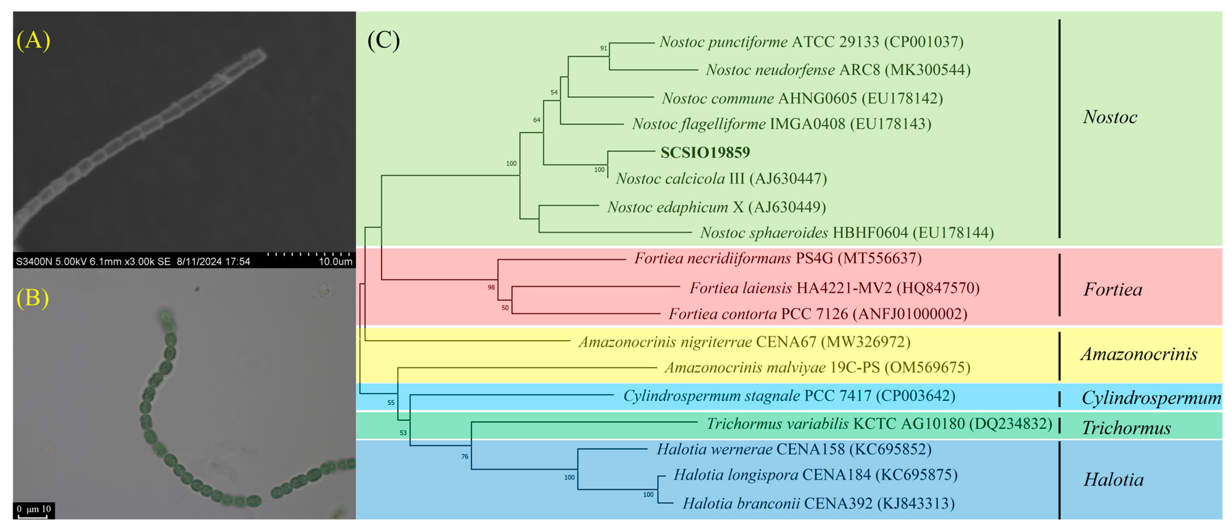 Microorganisms 13 00523 g004