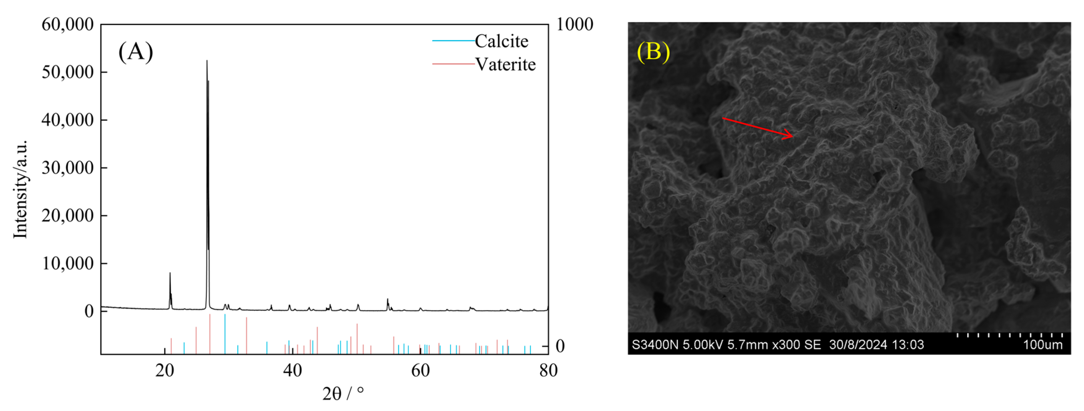 Microorganisms 13 00523 g007