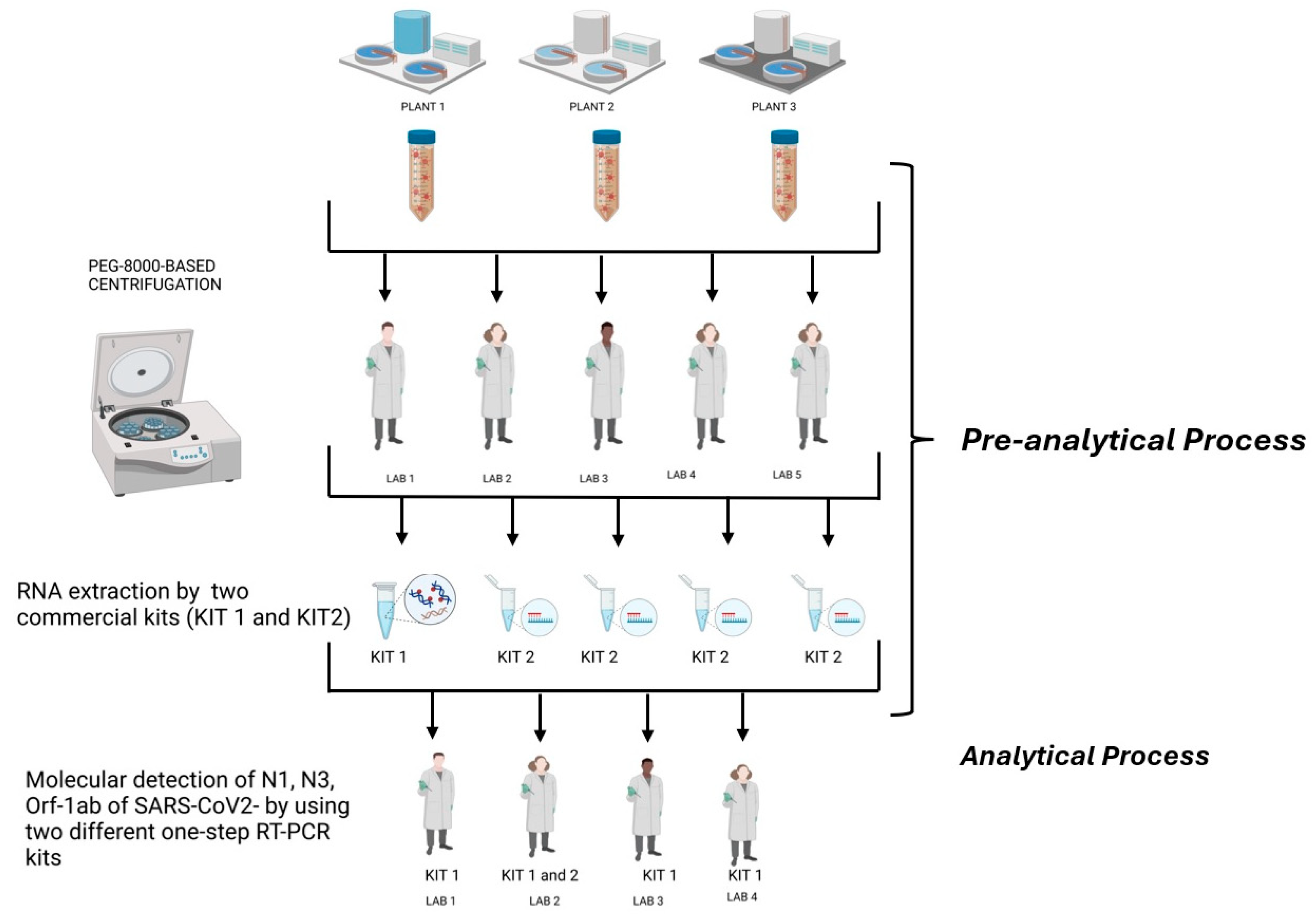 Microorganisms 13 00526 g001