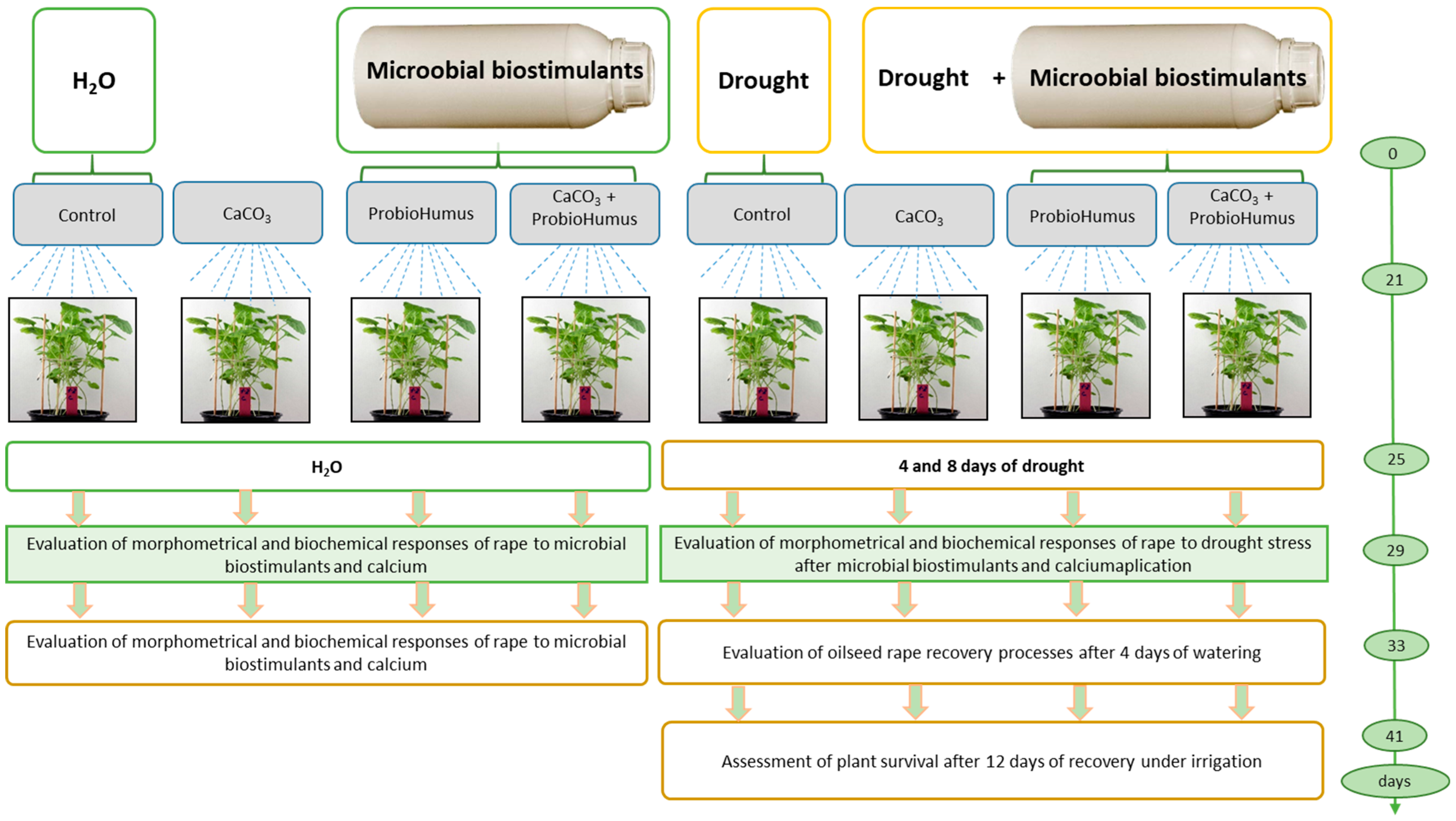 Microorganisms 13 00530 g001