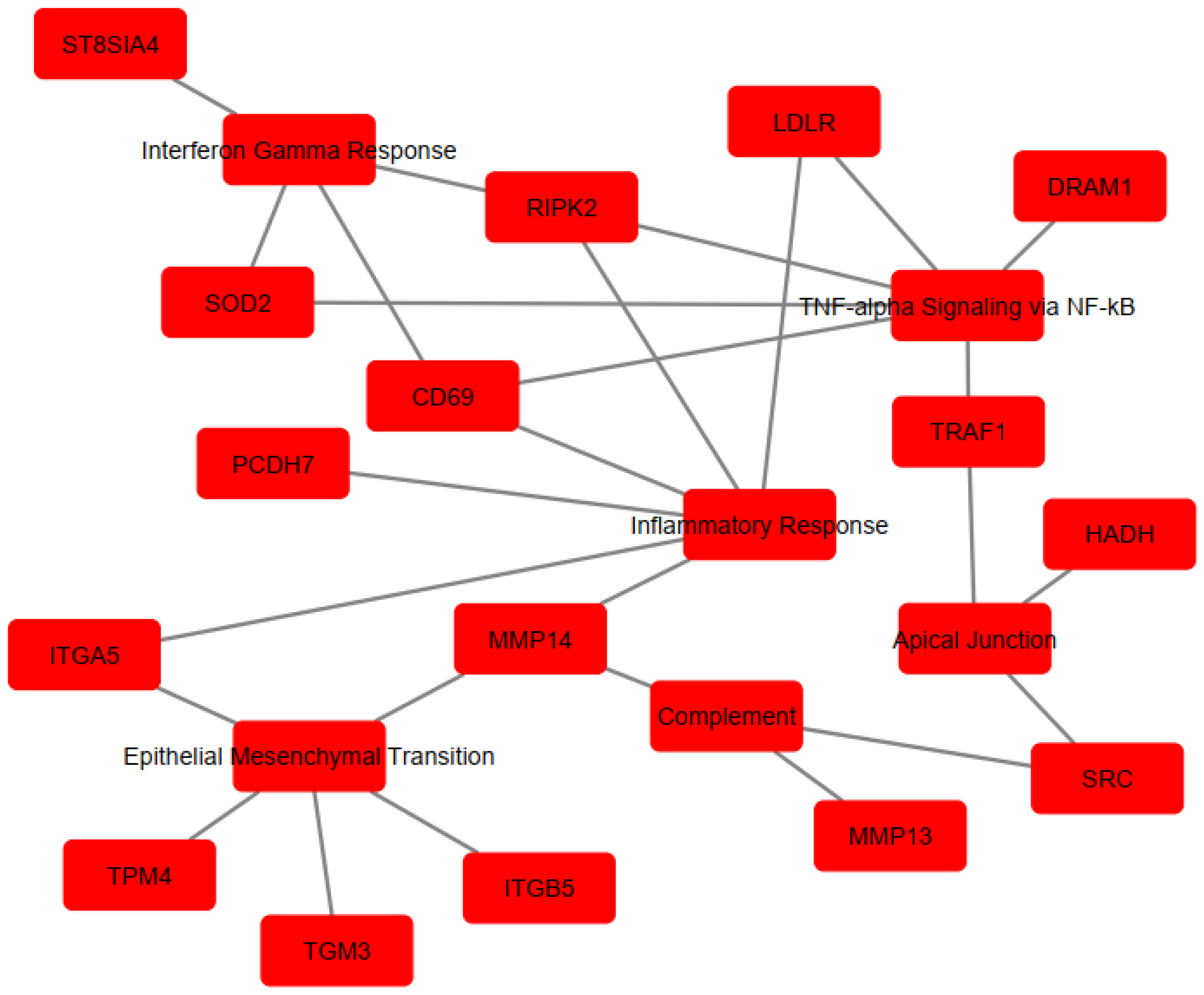 Microorganisms 13 00531 g004