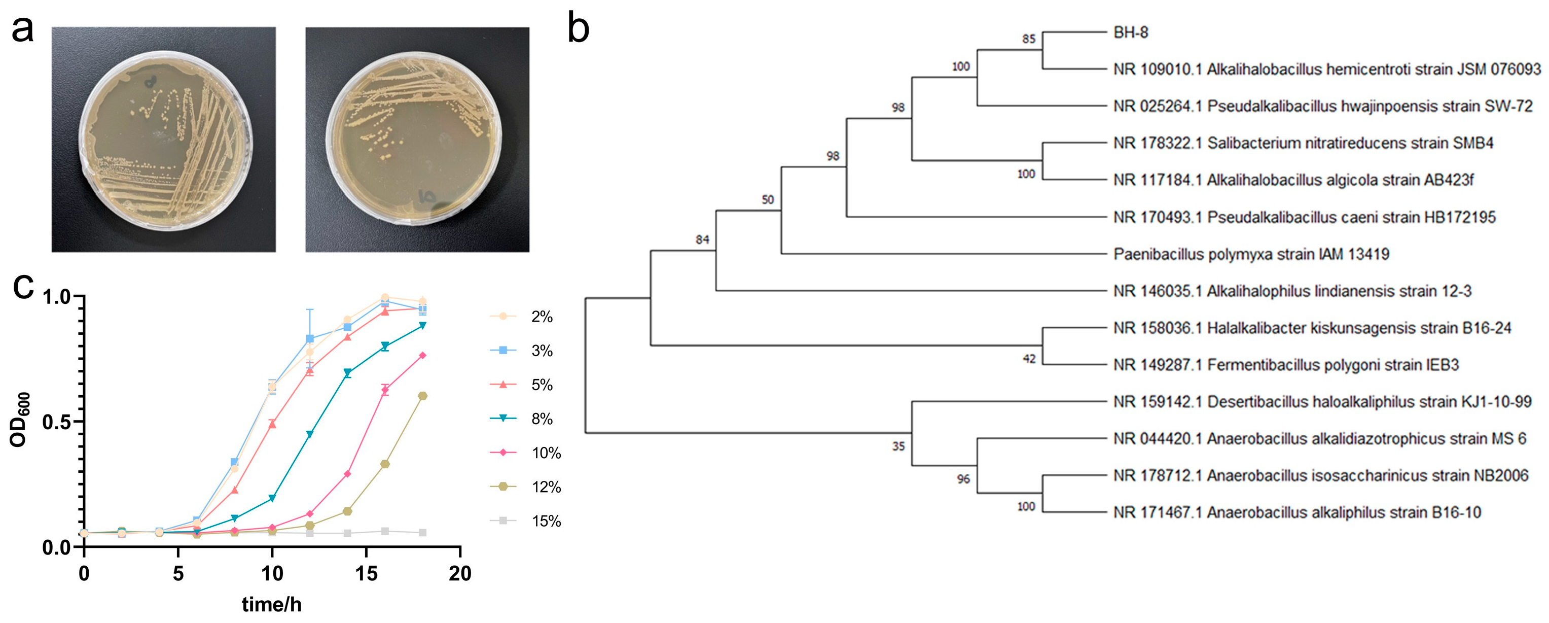 Microorganisms 13 00532 g001