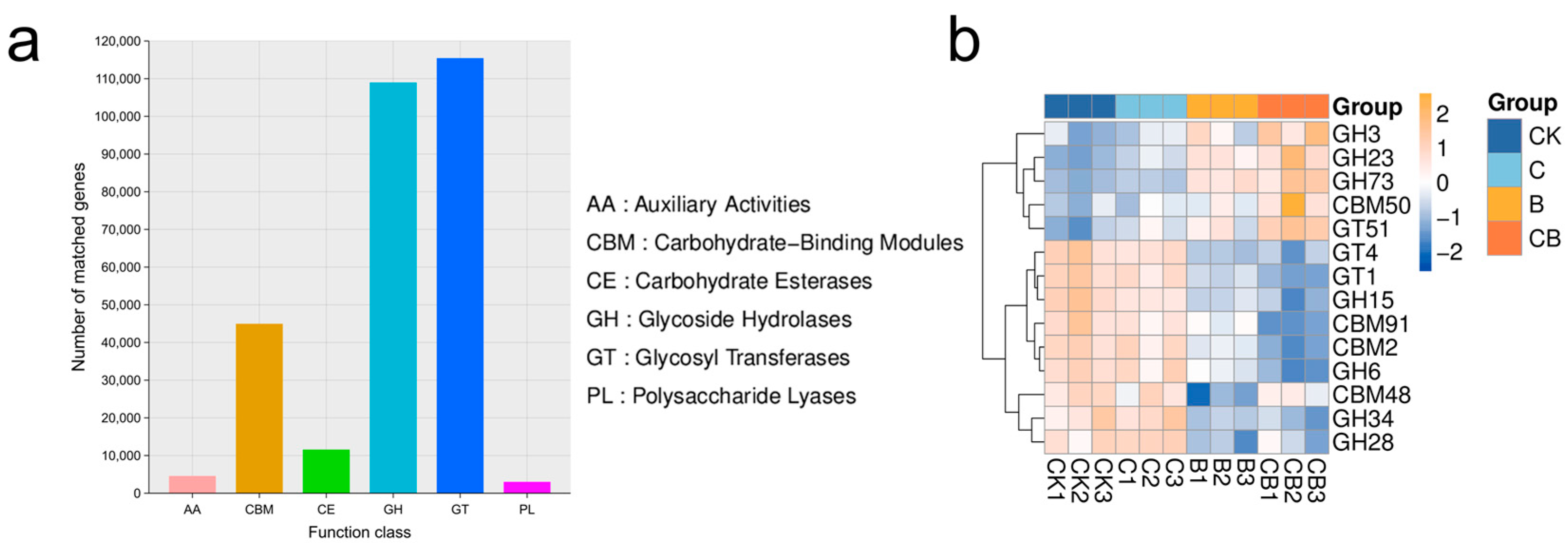 Microorganisms 13 00532 g008