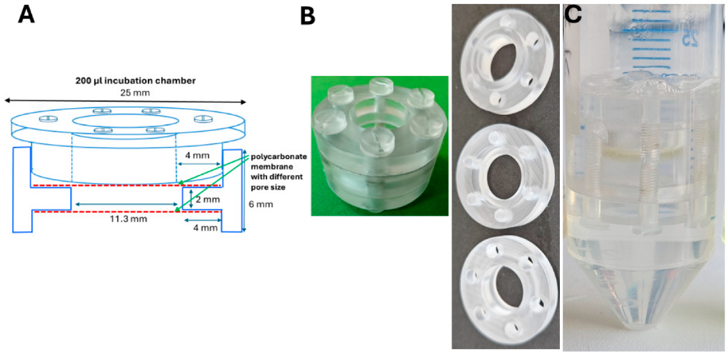 Microorganisms 13 00534 g001