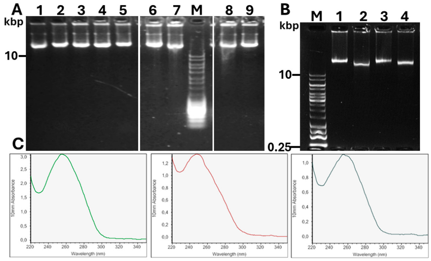 Microorganisms 13 00534 g002
