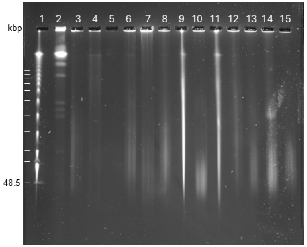 Microorganisms 13 00534 g003
