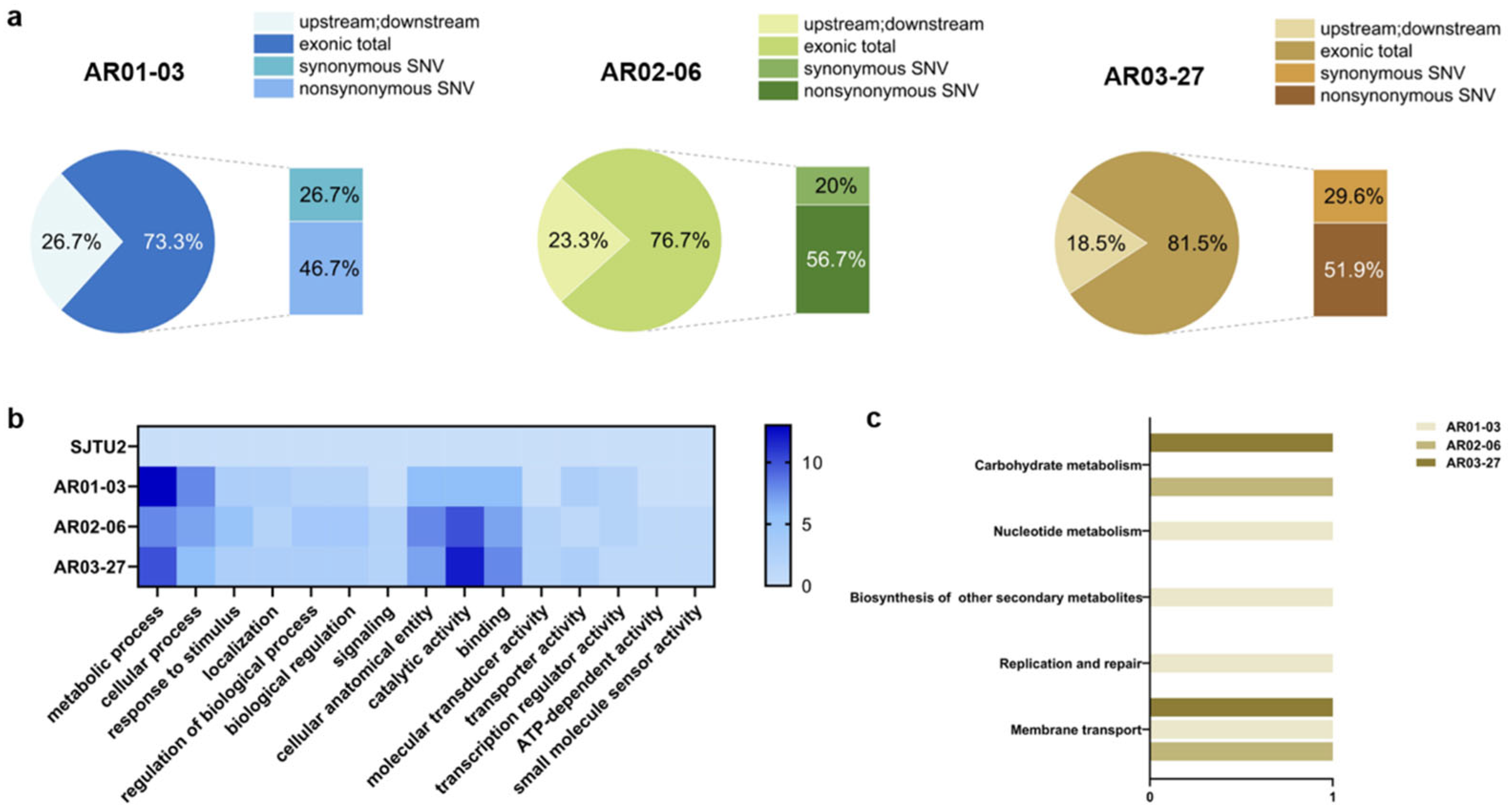 Microorganisms 13 00536 g006