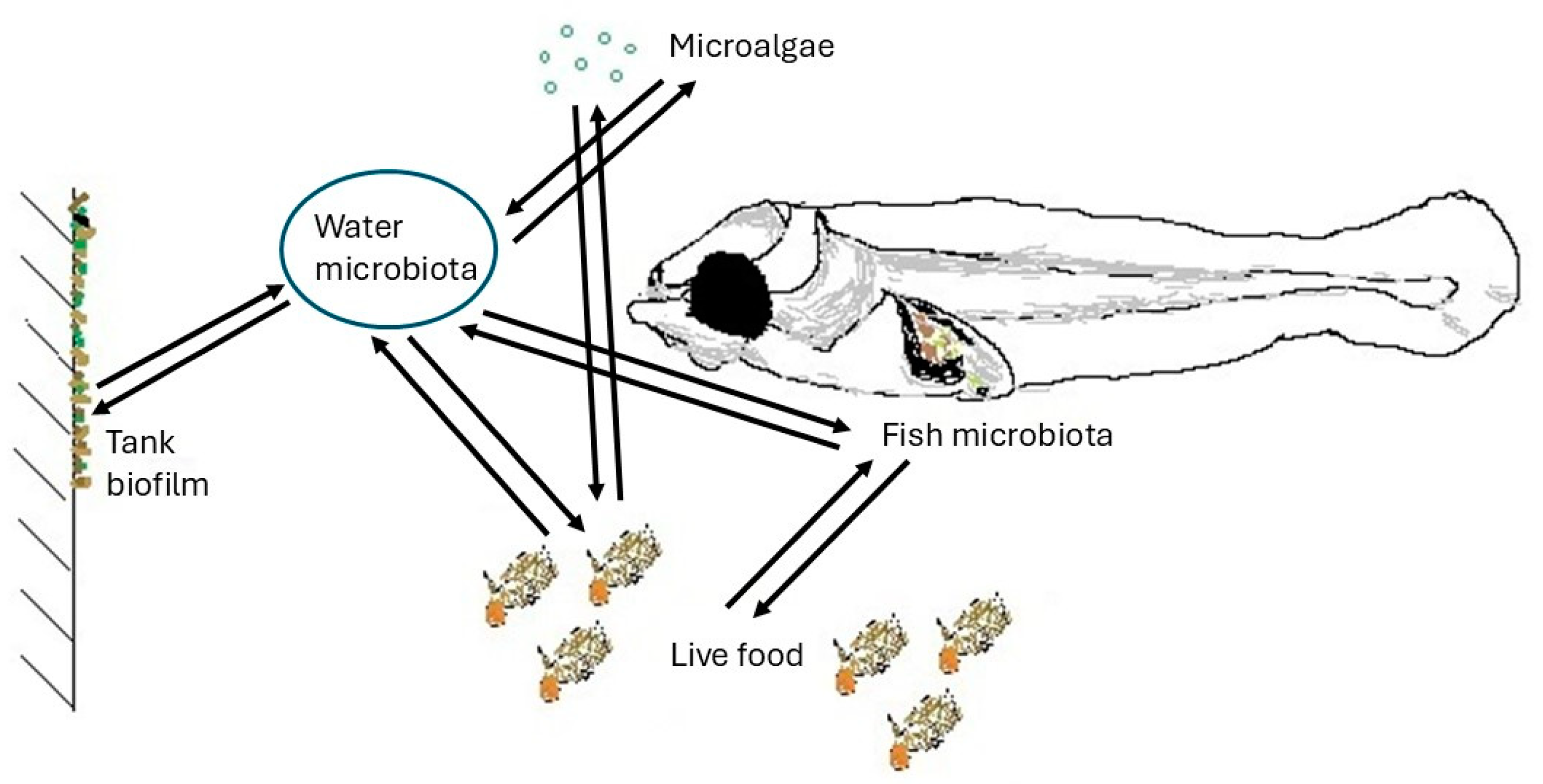 Microorganisms 13 00539 g001