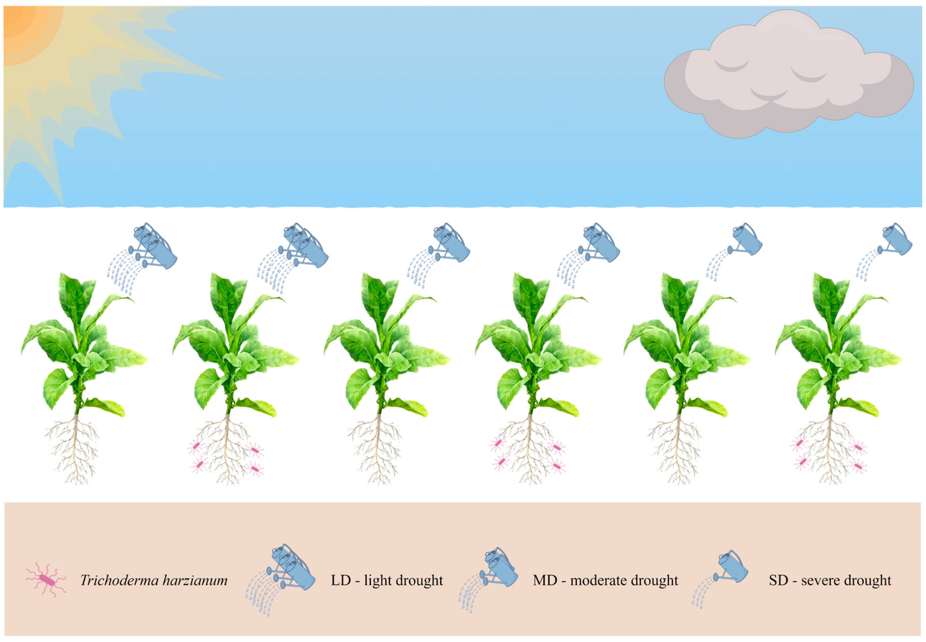 Microorganisms 13 00543 g001