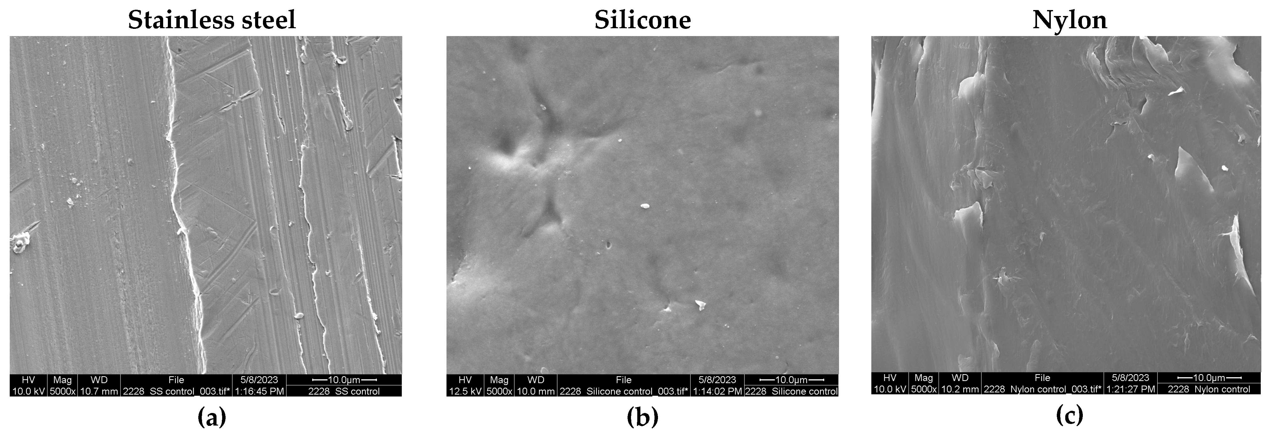 Microorganisms 13 00548 g002a
