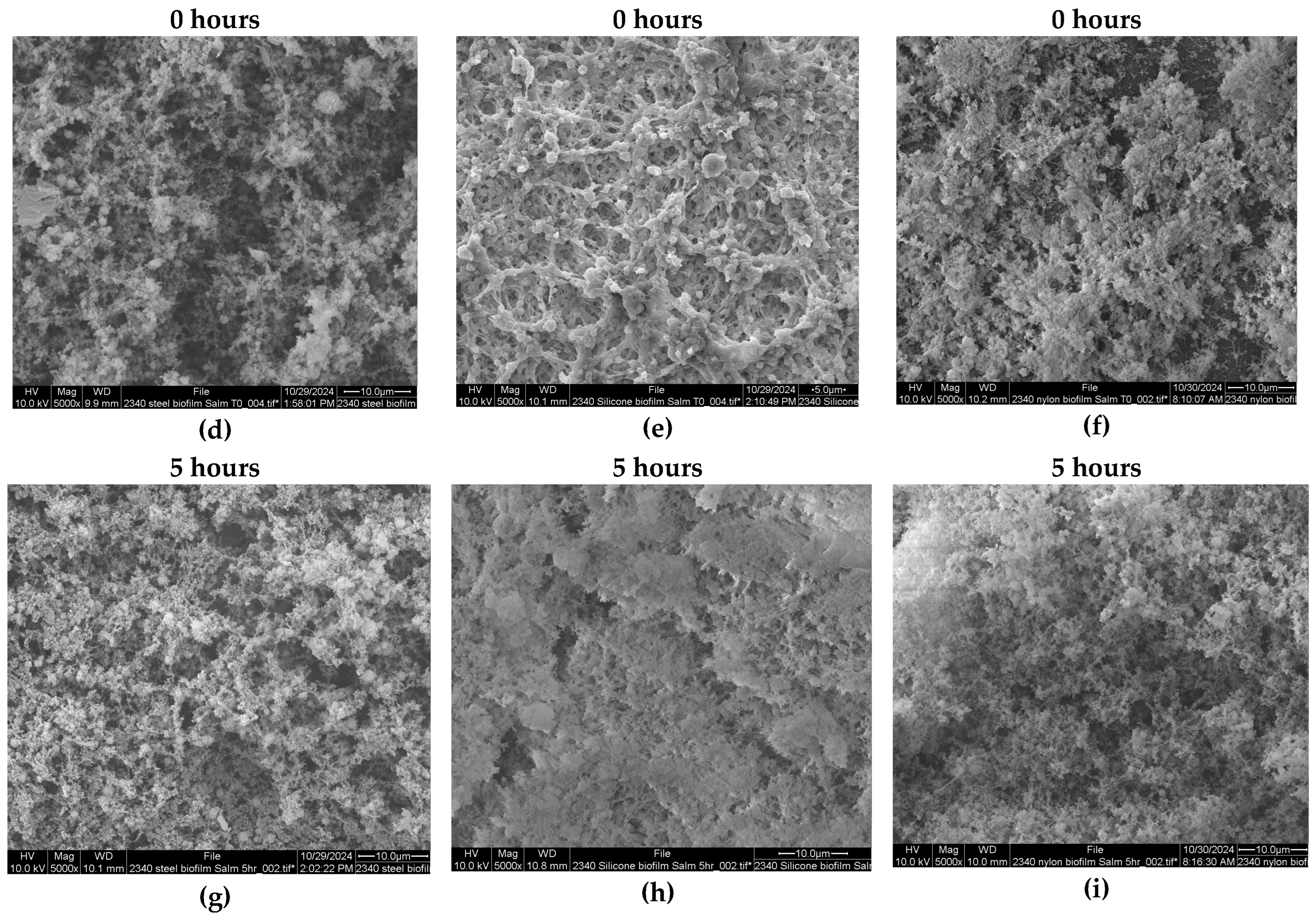 Microorganisms 13 00548 g002b