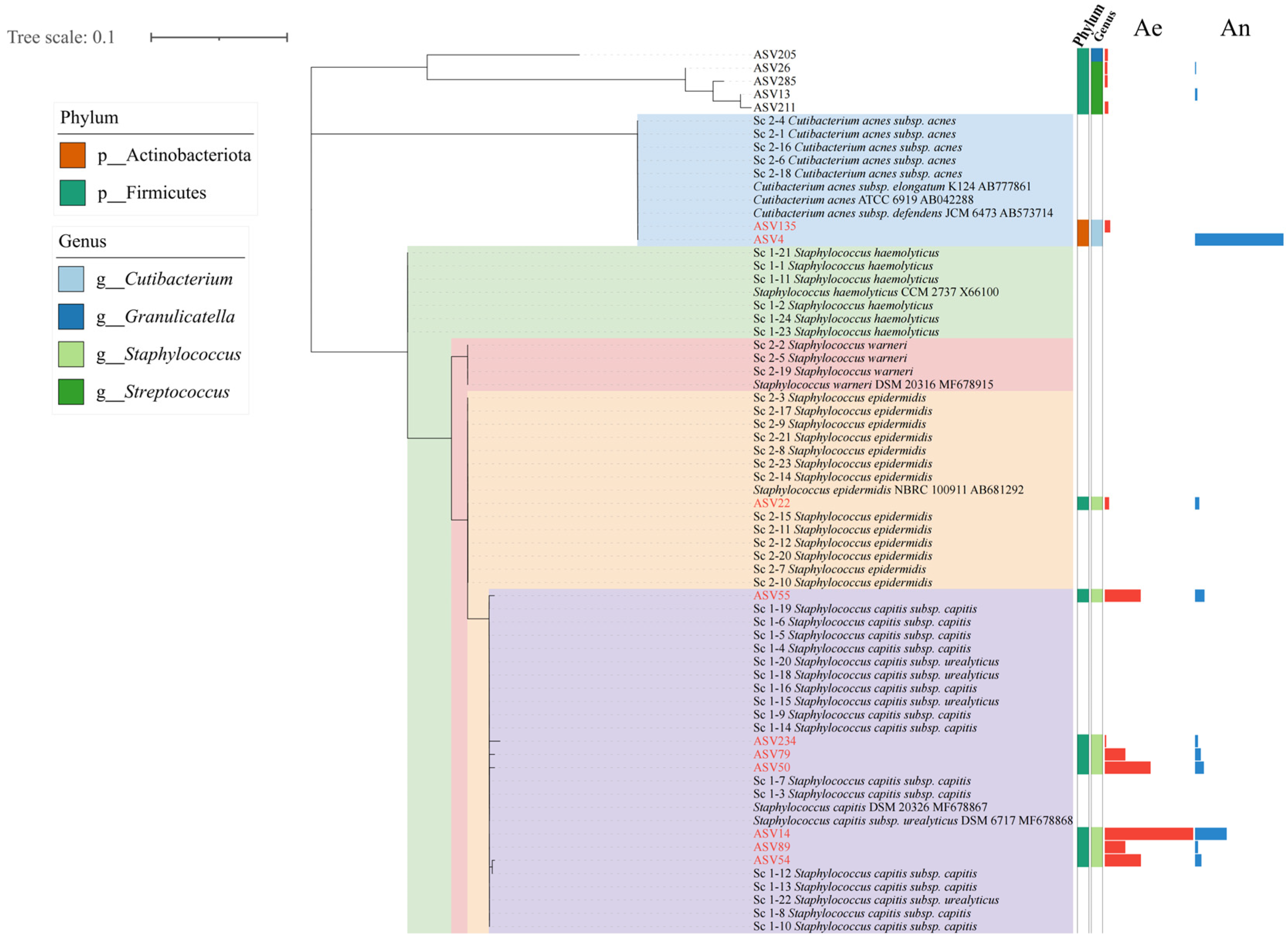 Microorganisms 13 00549 g005