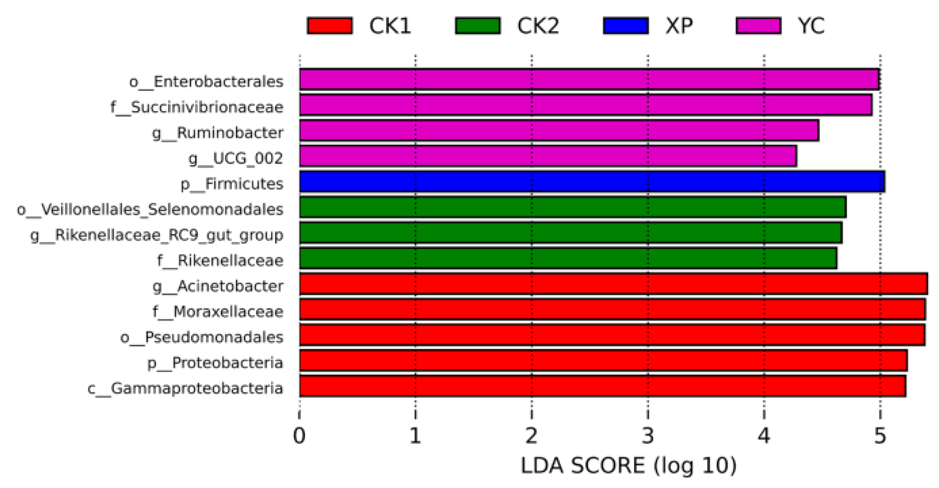 Microorganisms 13 00550 g005