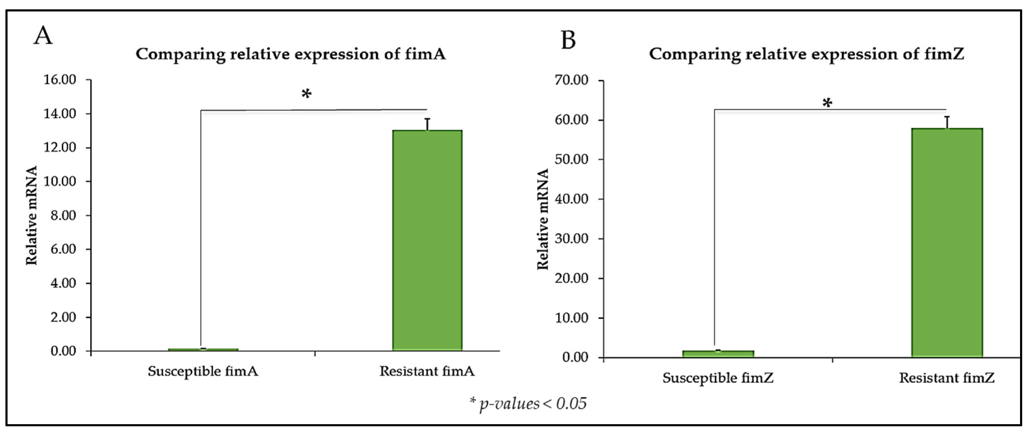 Microorganisms 13 00551 g005