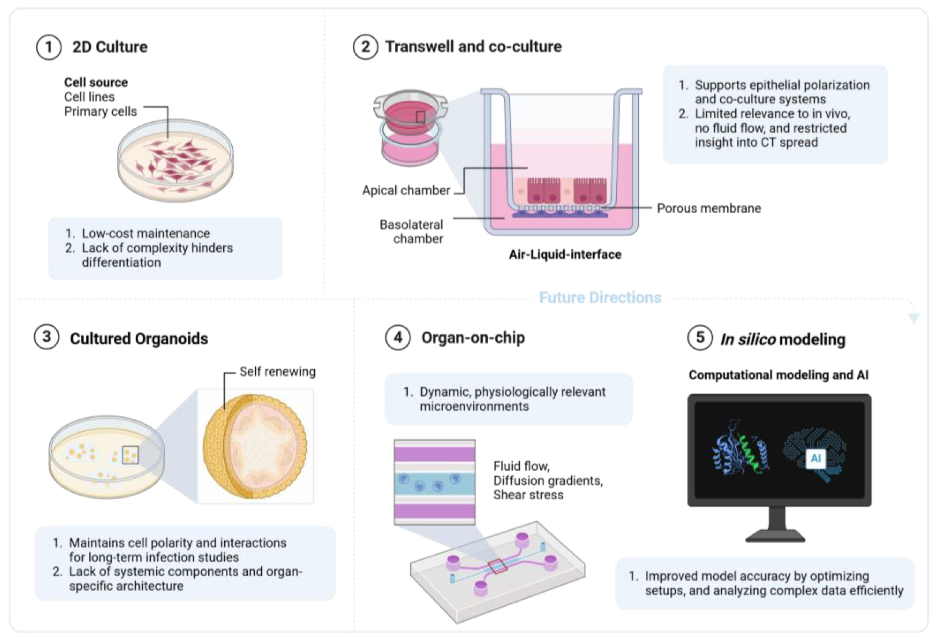 Microorganisms 13 00553 g003