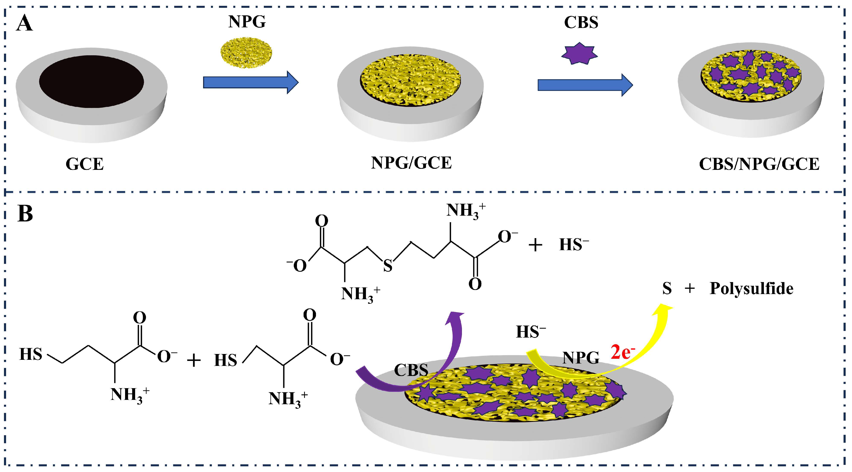 Microorganisms 13 00559 sch001