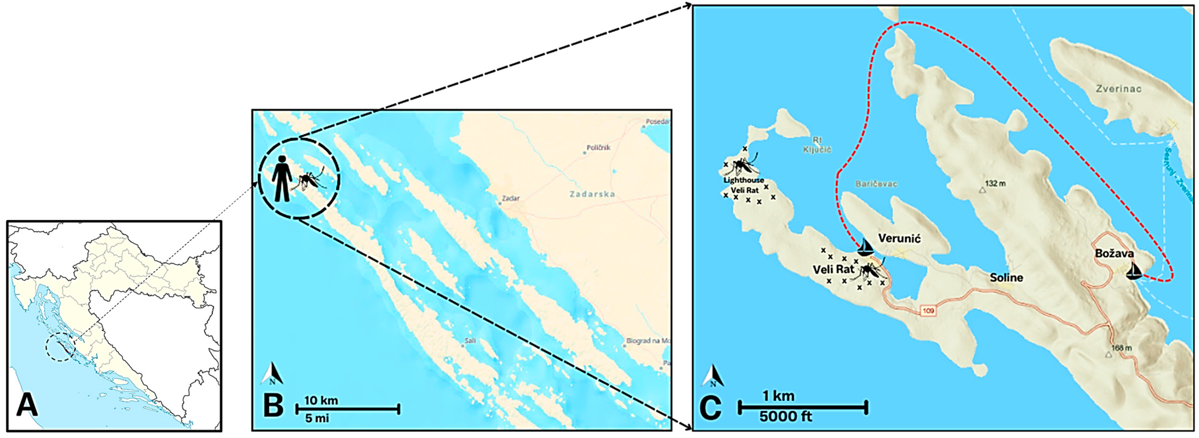 Microorganisms 13 00565 g001