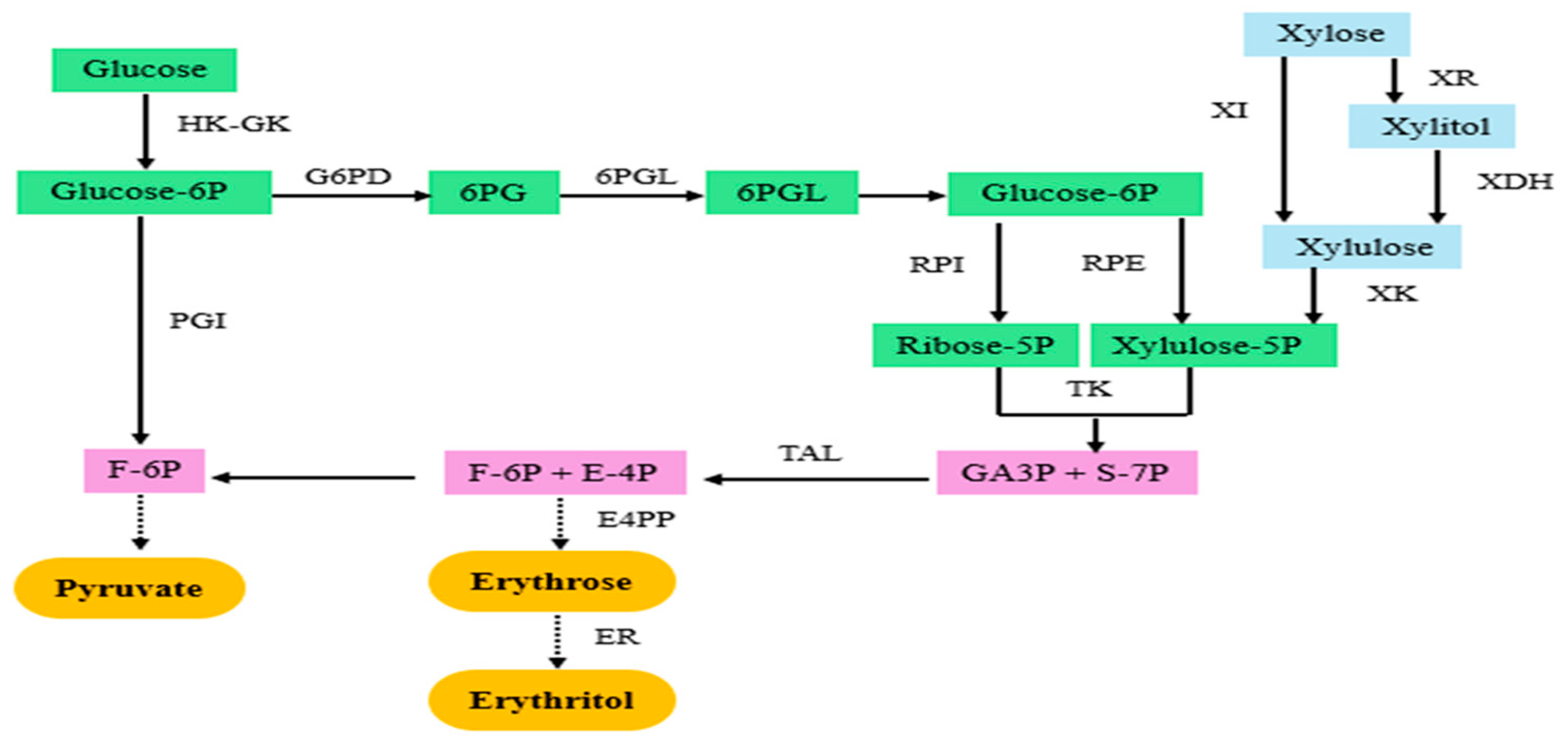 Microorganisms 13 00566 g004