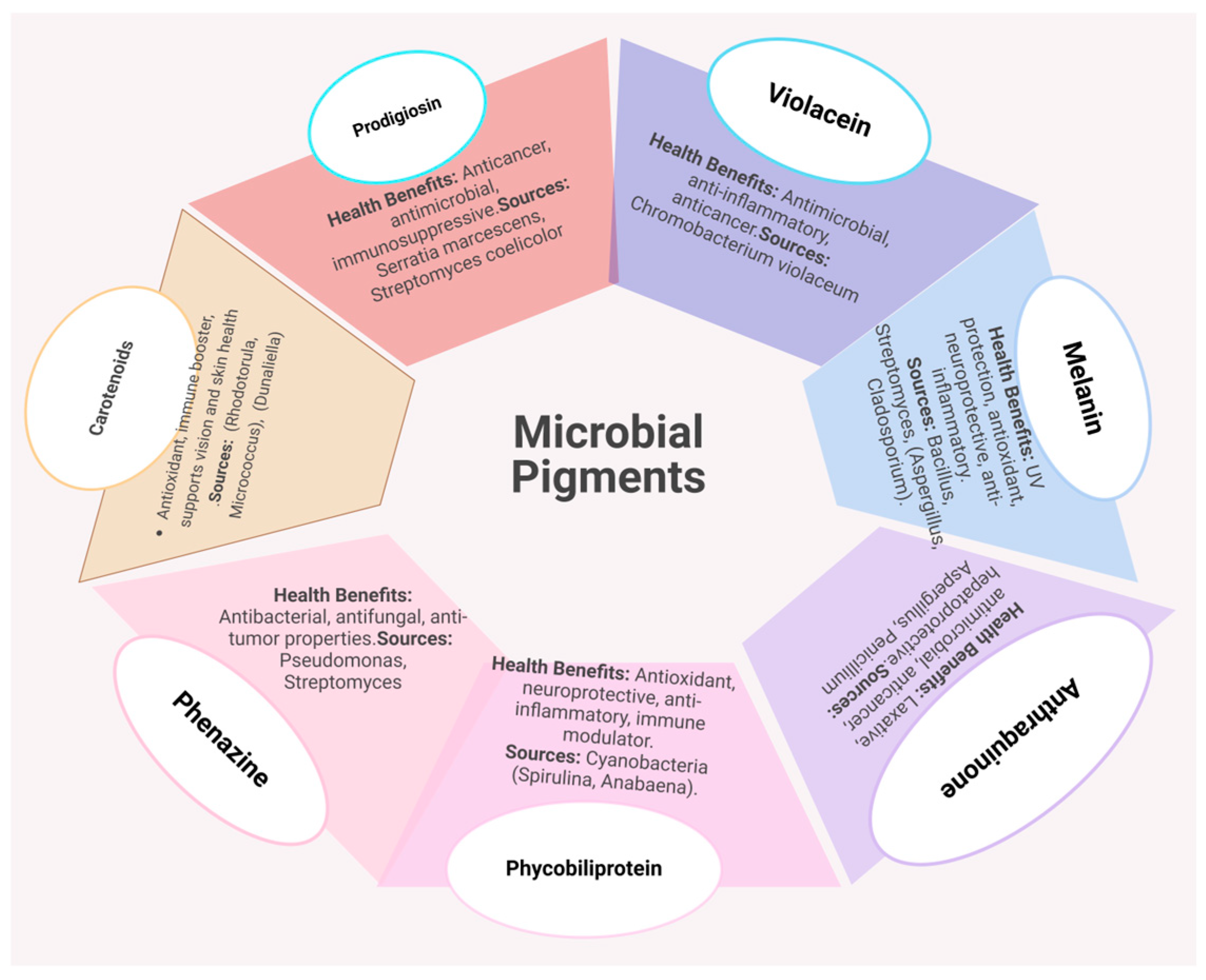 Microorganisms 13 00566 g005