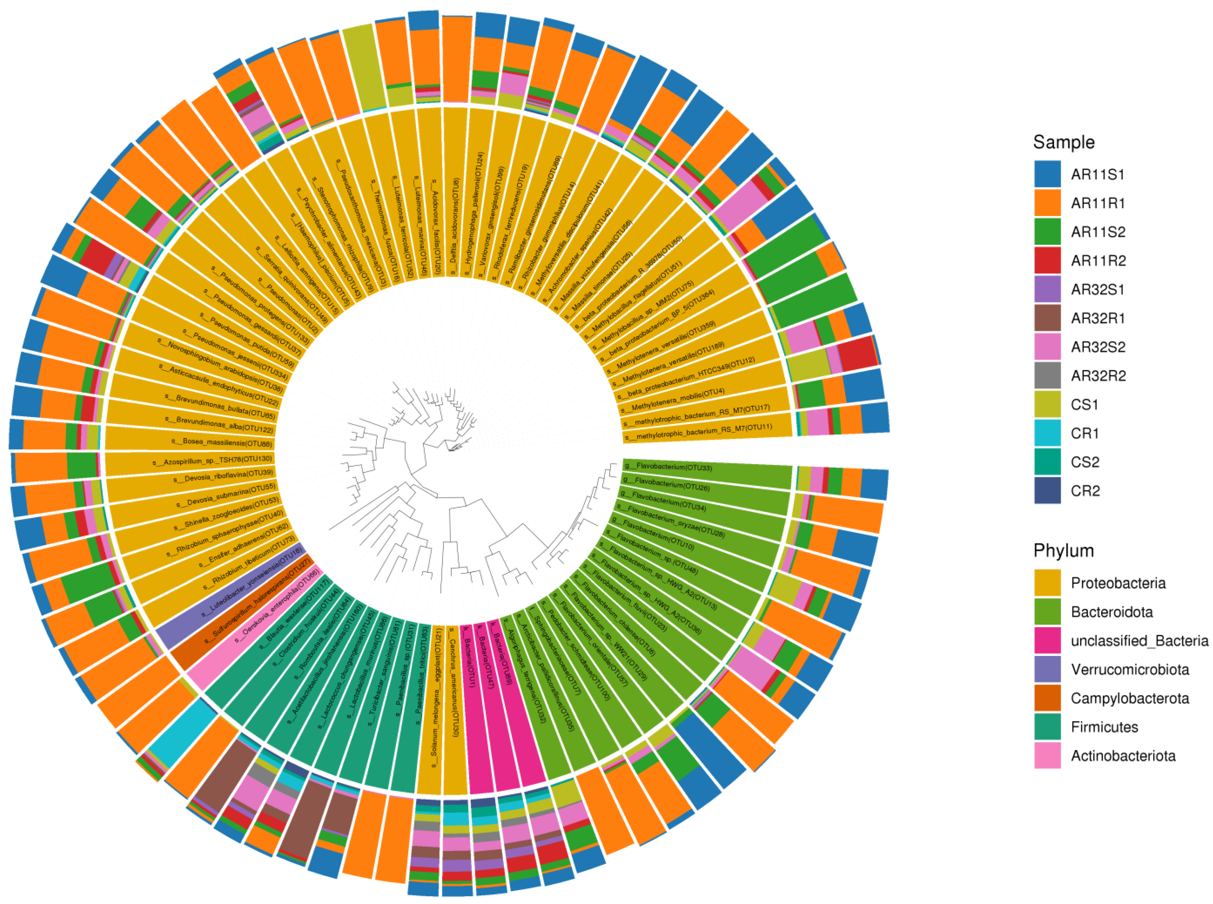 Microorganisms 13 00570 g008