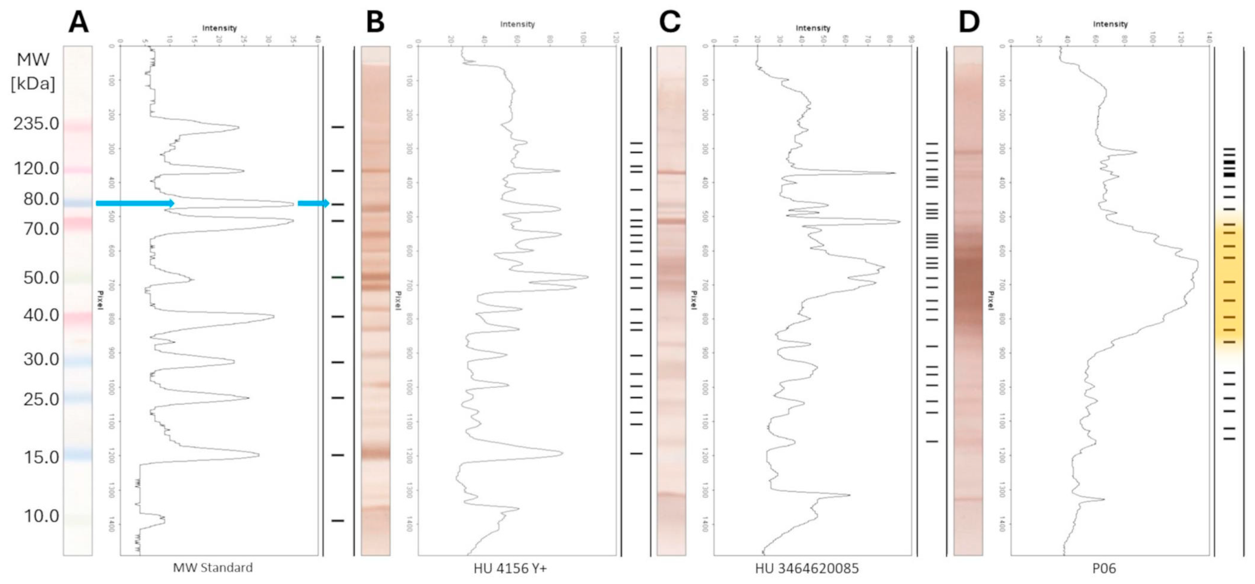 Microorganisms 13 00574 g003