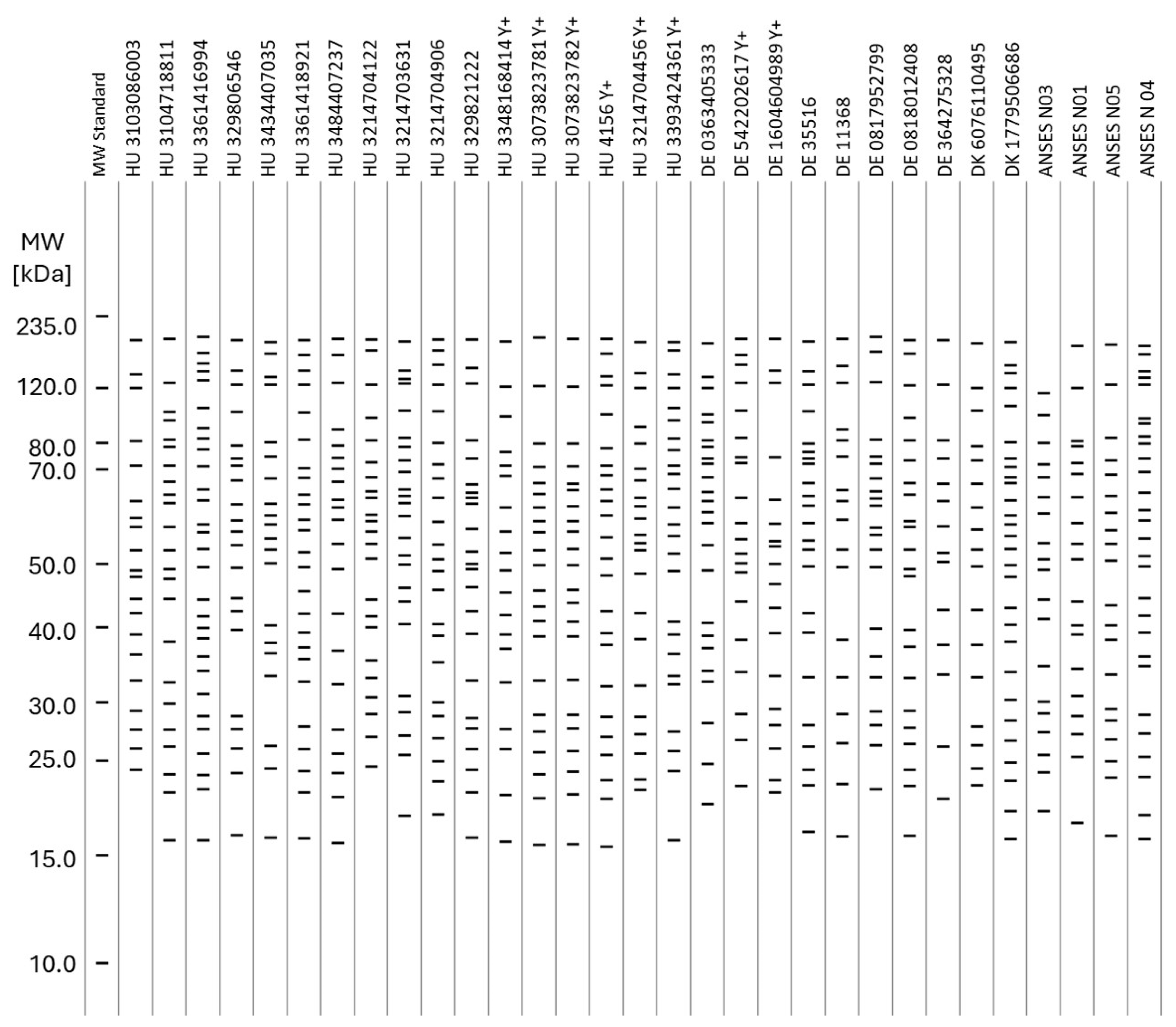 Microorganisms 13 00574 g004