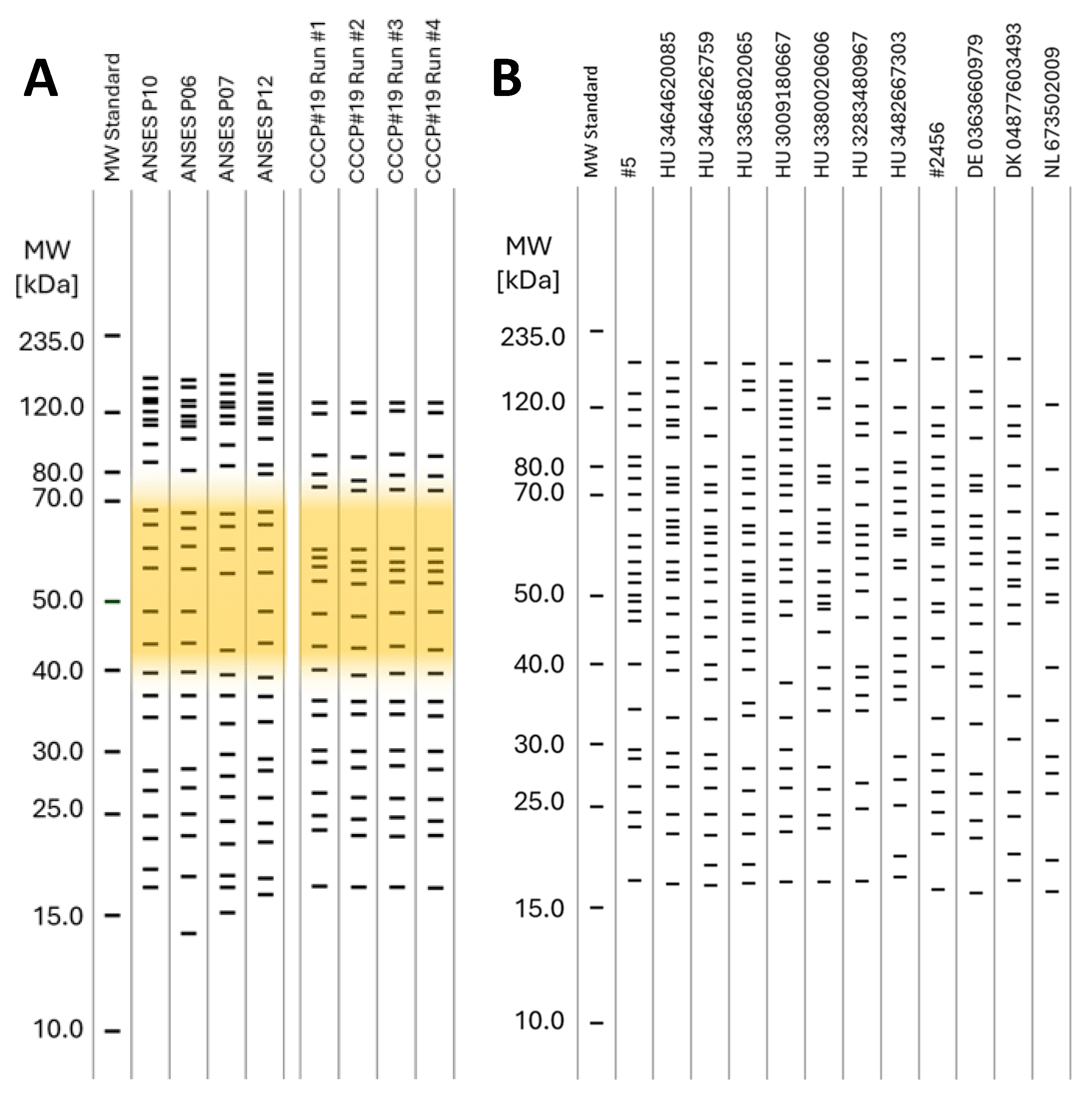 Microorganisms 13 00574 g005