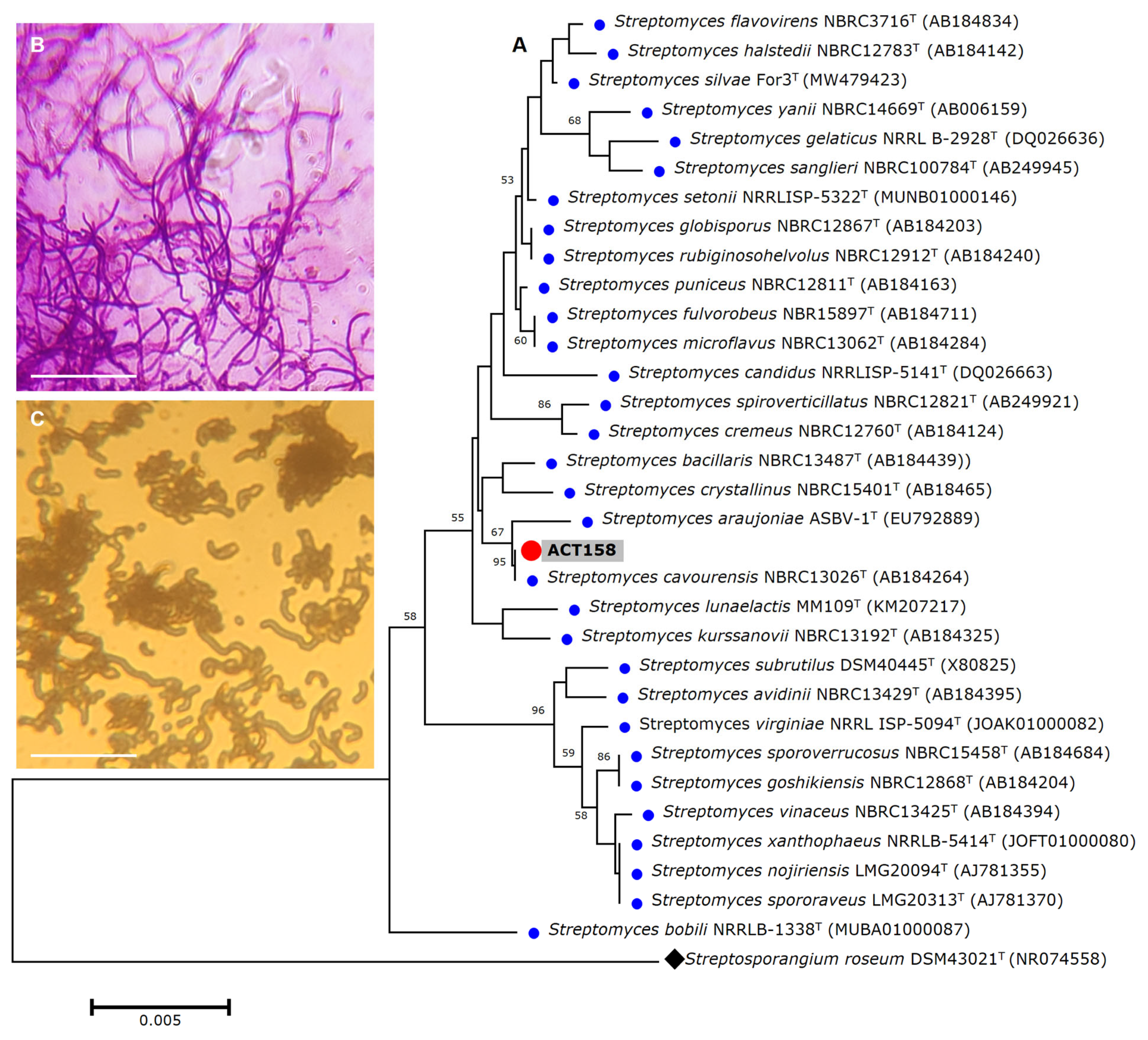 Microorganisms 13 00576 g001