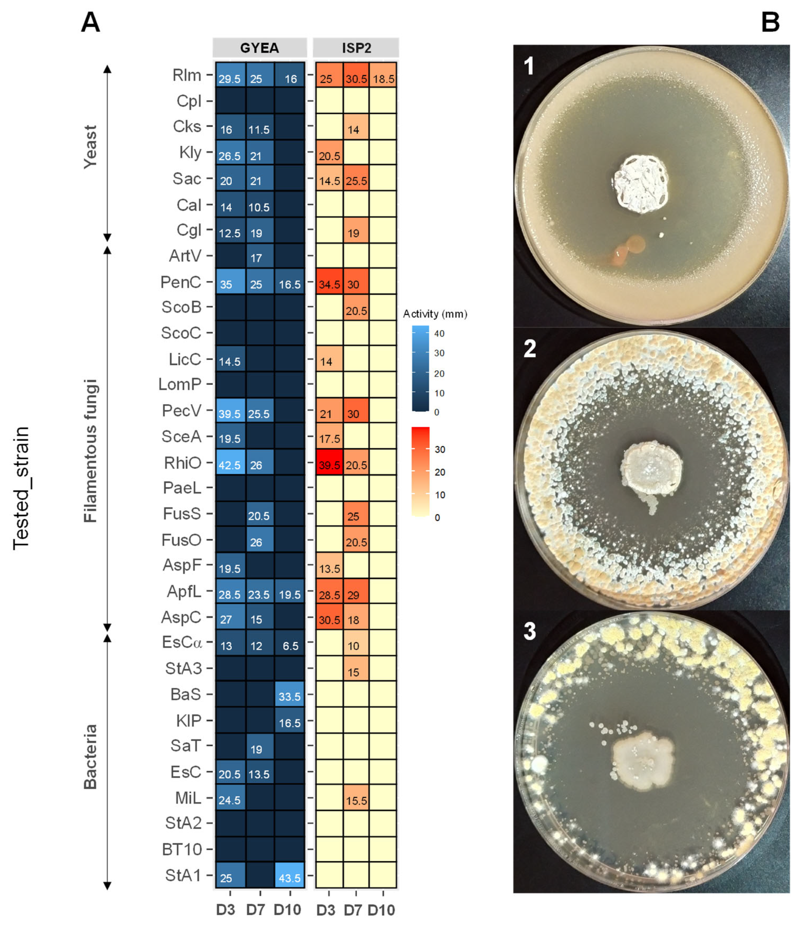 Microorganisms 13 00576 g007