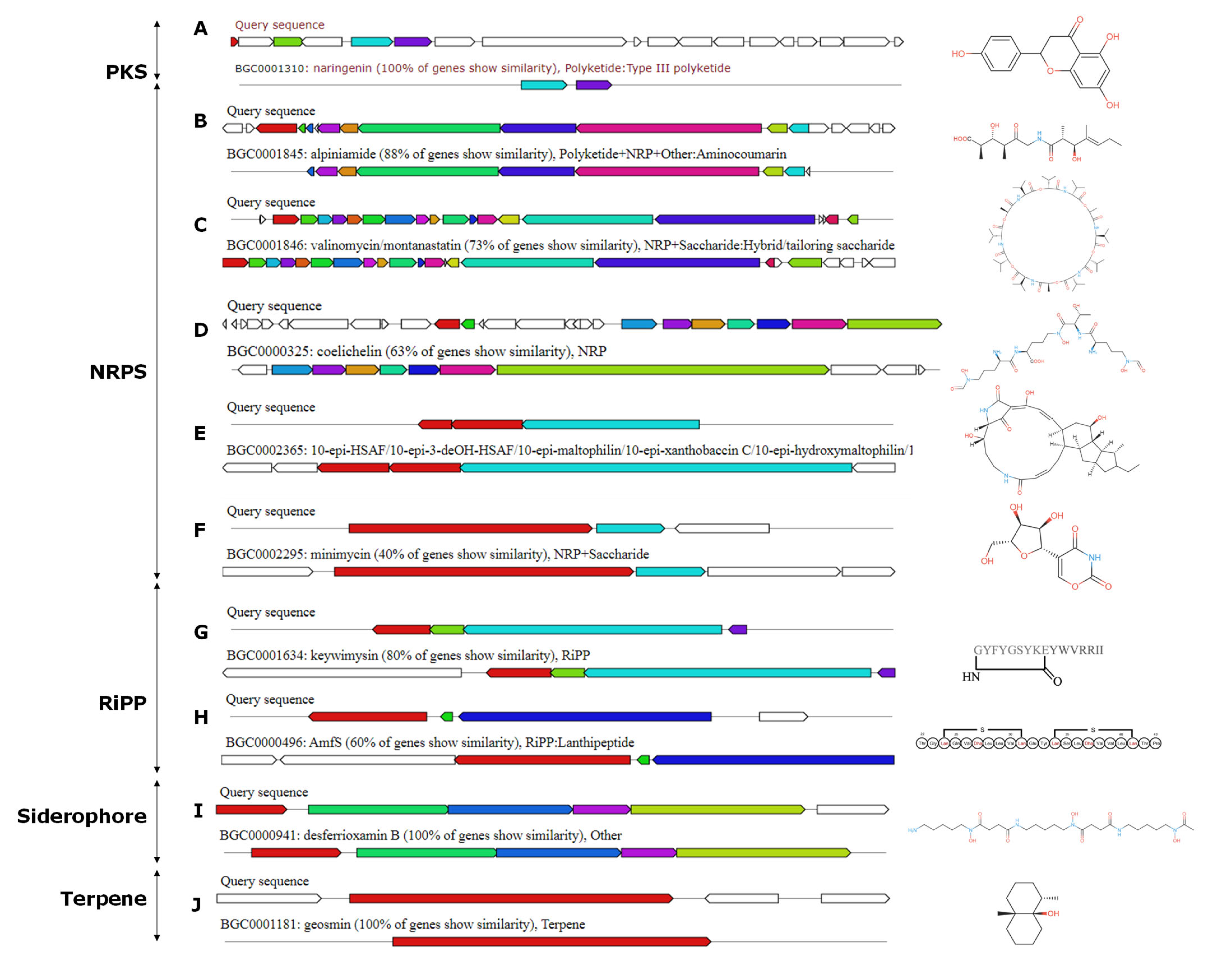 Microorganisms 13 00576 g008