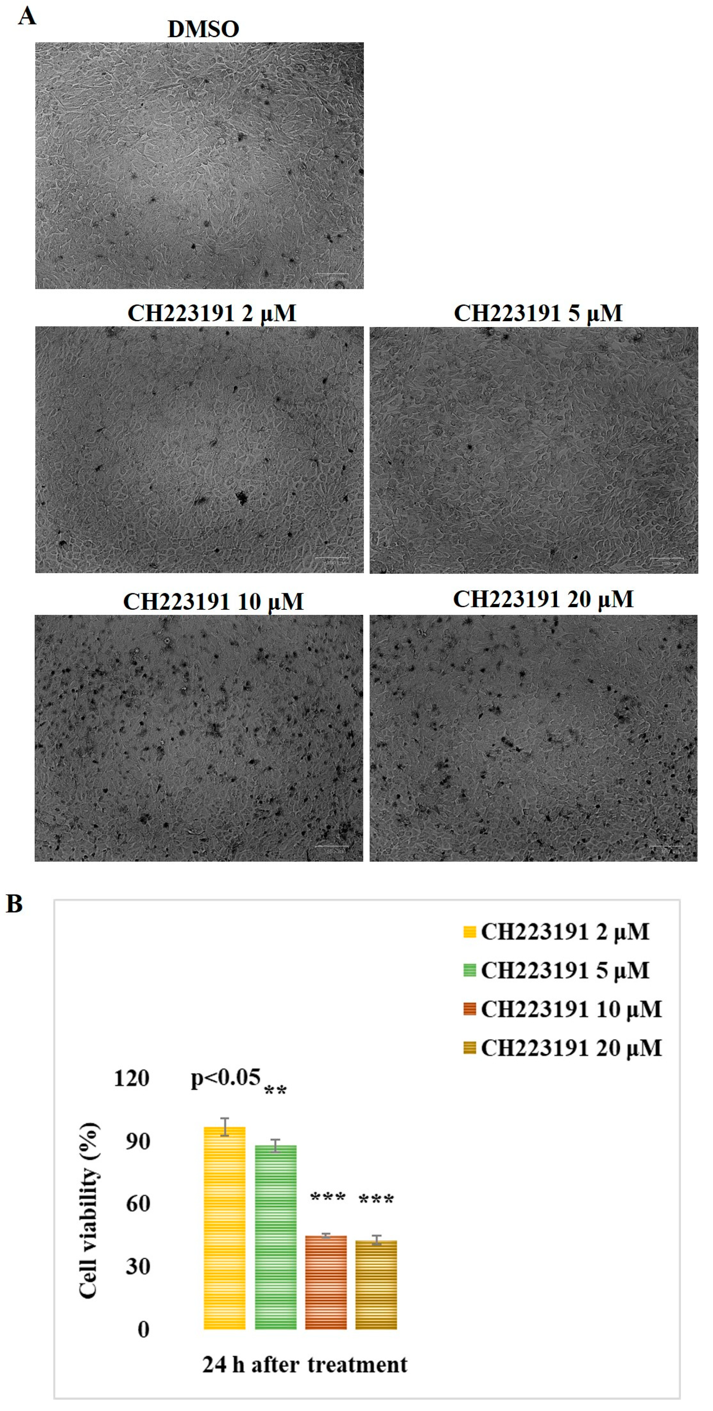 Microorganisms 13 00579 g002
