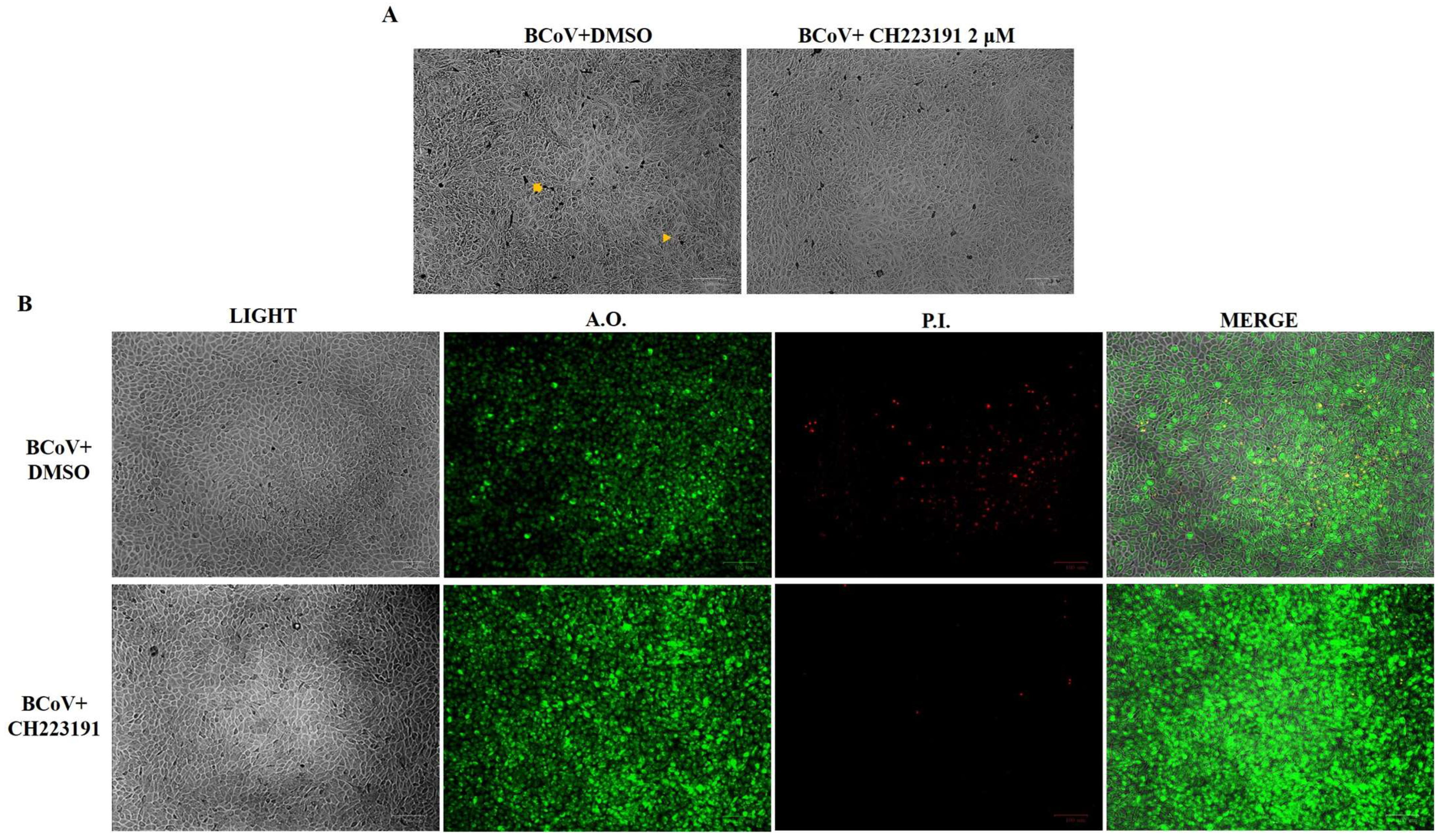 Microorganisms 13 00579 g004
