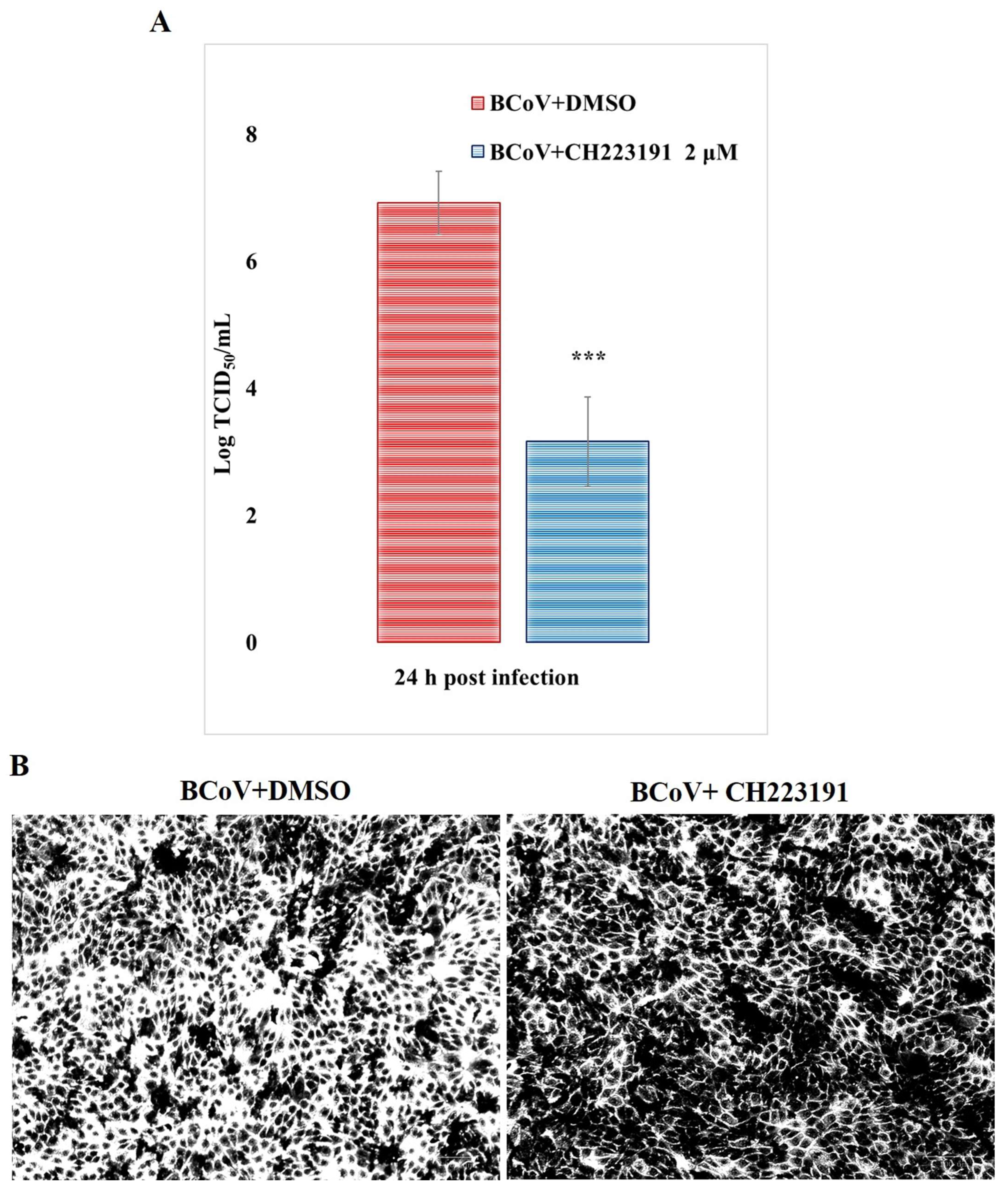 Microorganisms 13 00579 g005