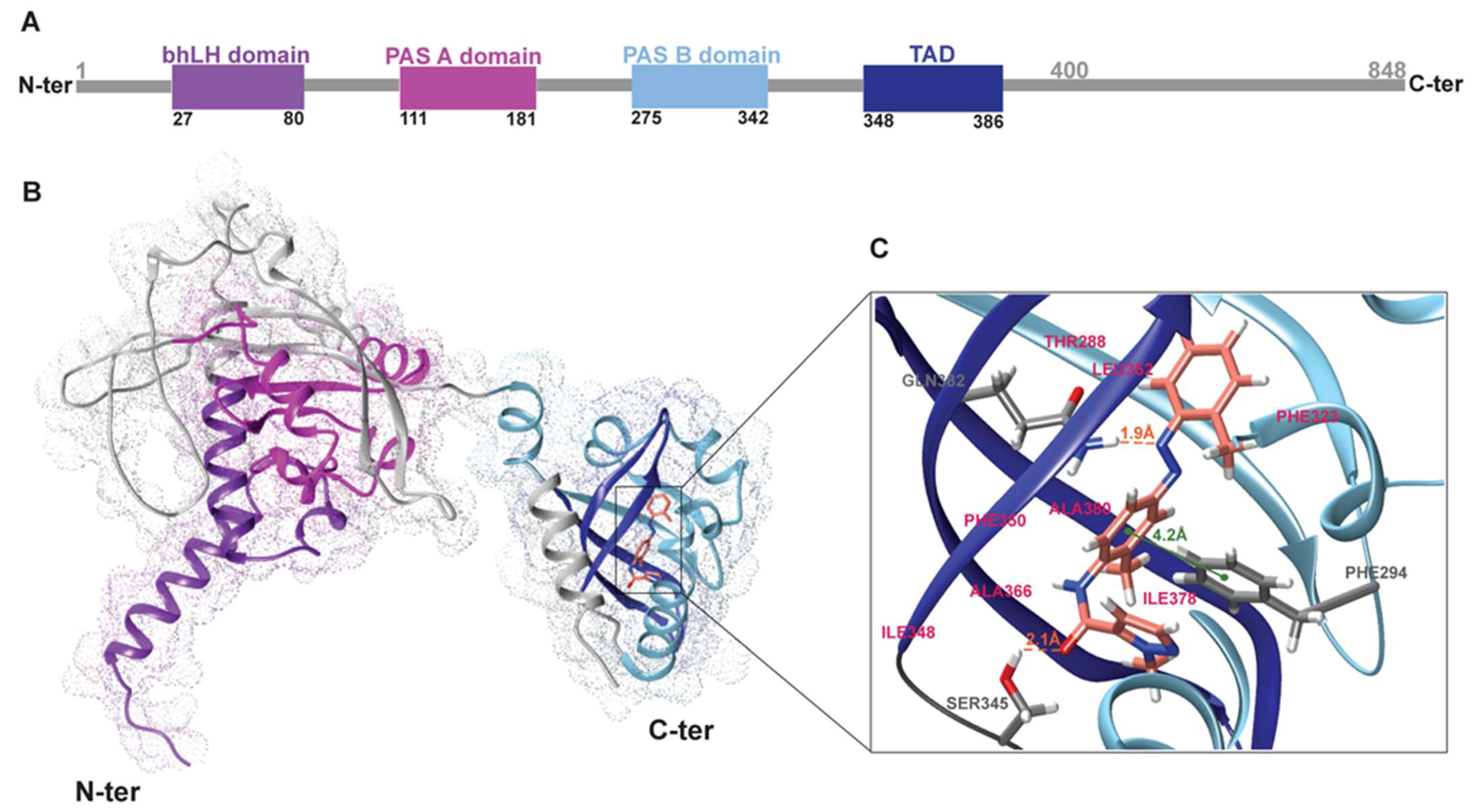 Microorganisms 13 00579 g008