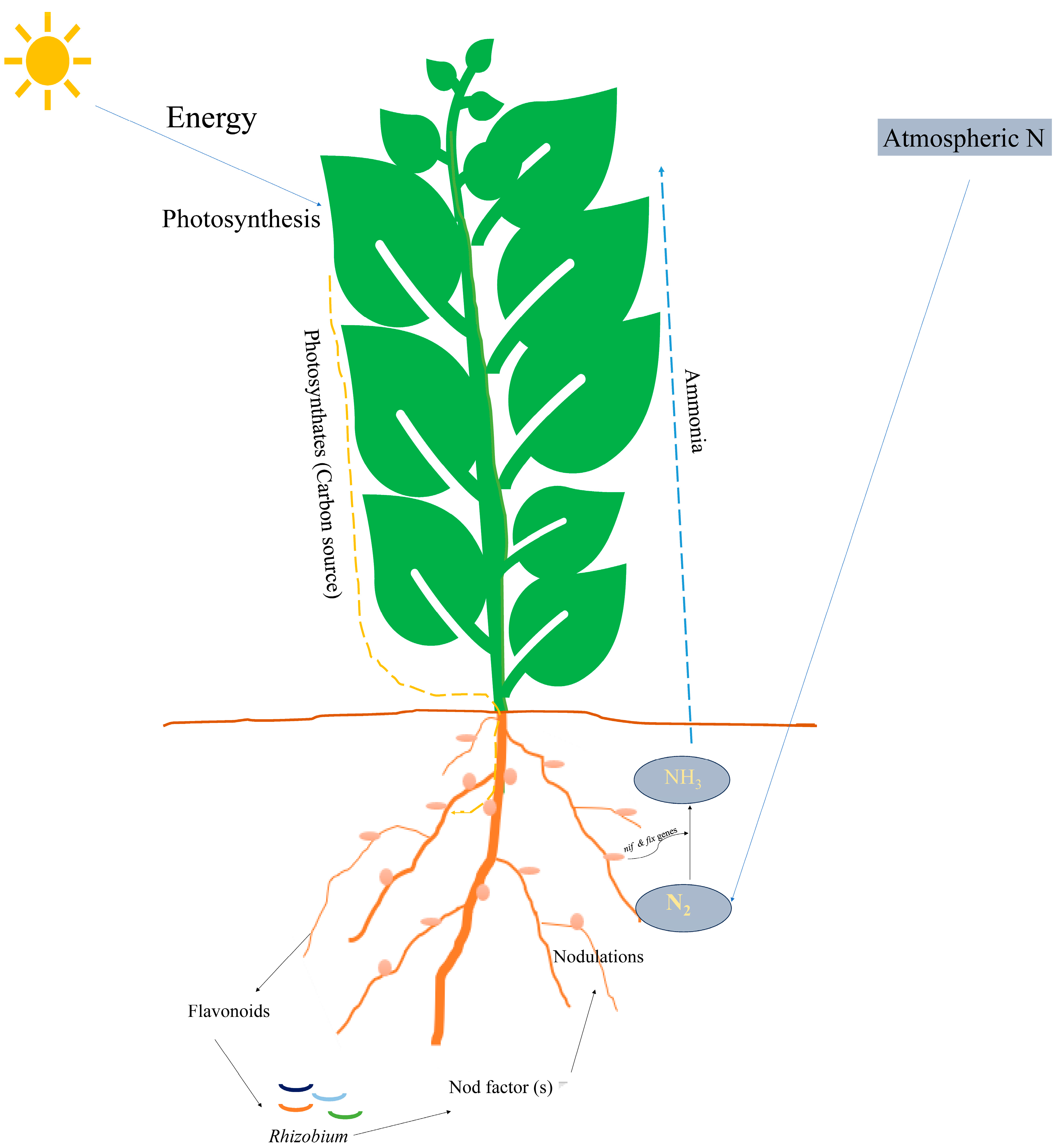 Microorganisms 13 00581 g001