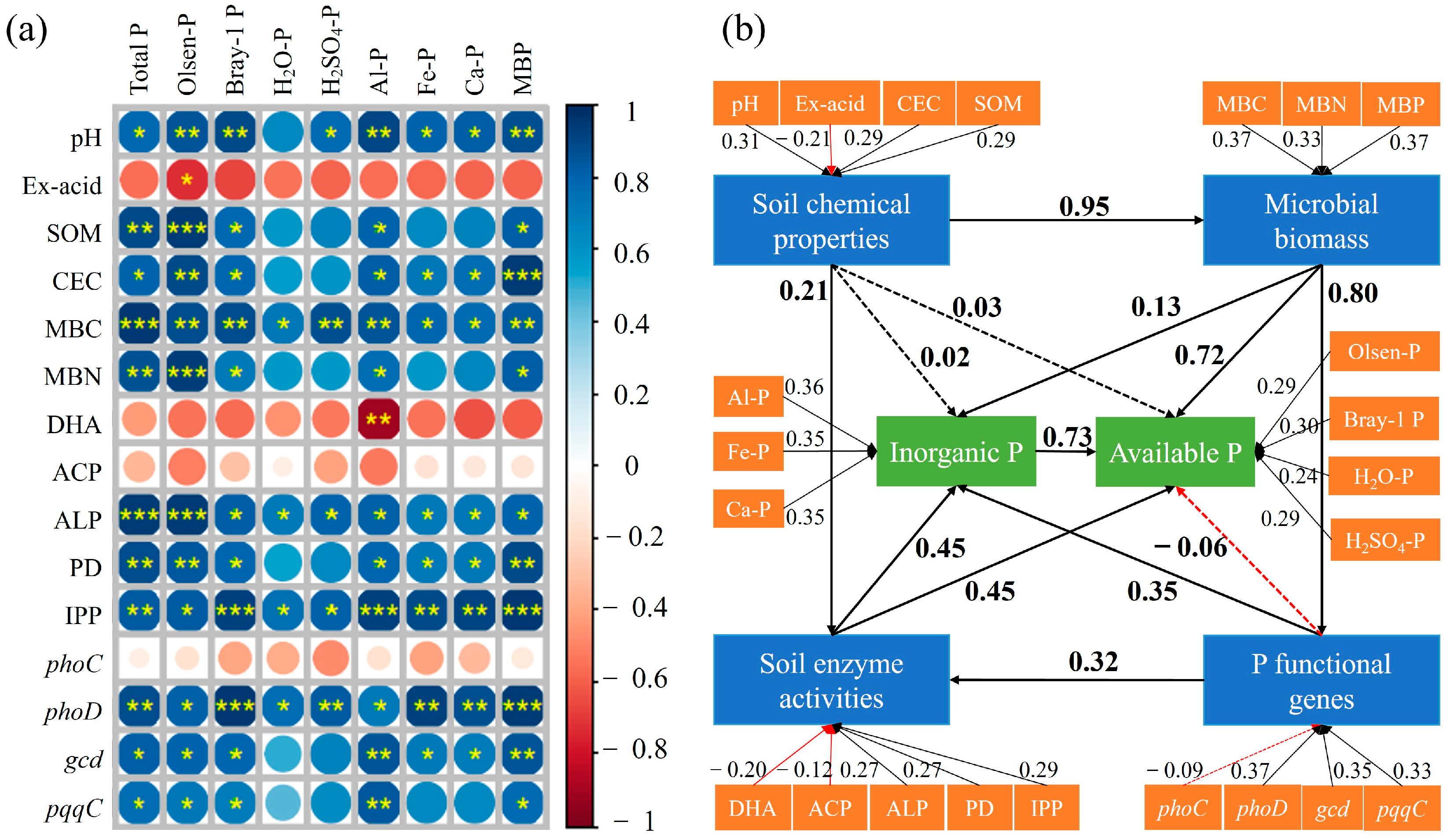 Microorganisms 13 00582 g005