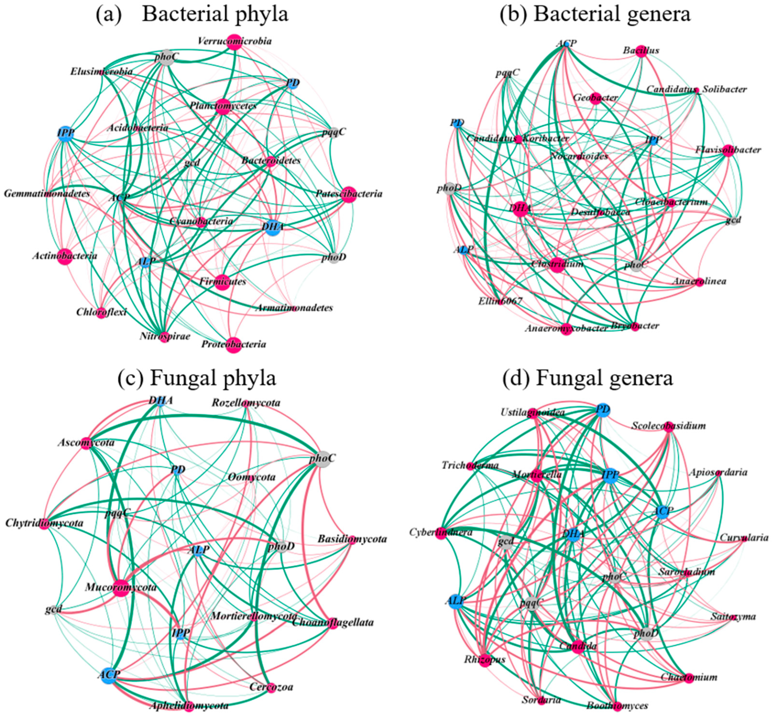 Microorganisms 13 00582 g006