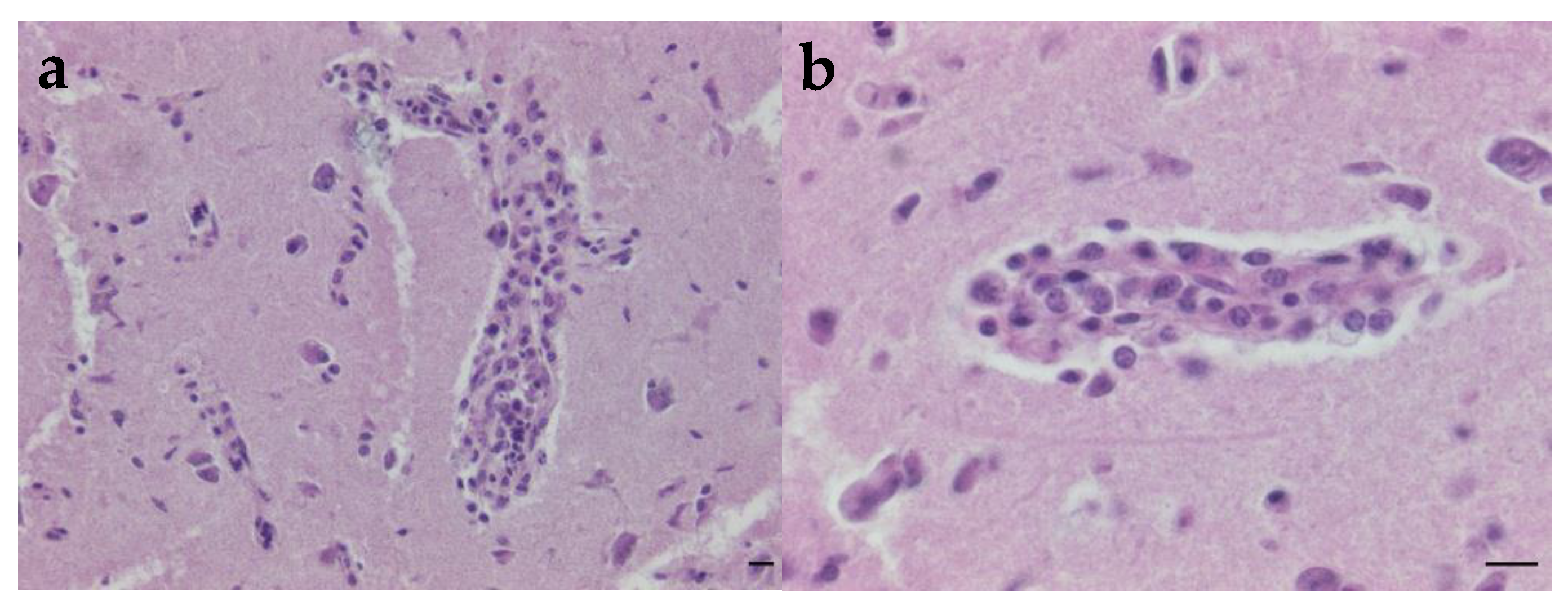 Microorganisms 13 00585 g001