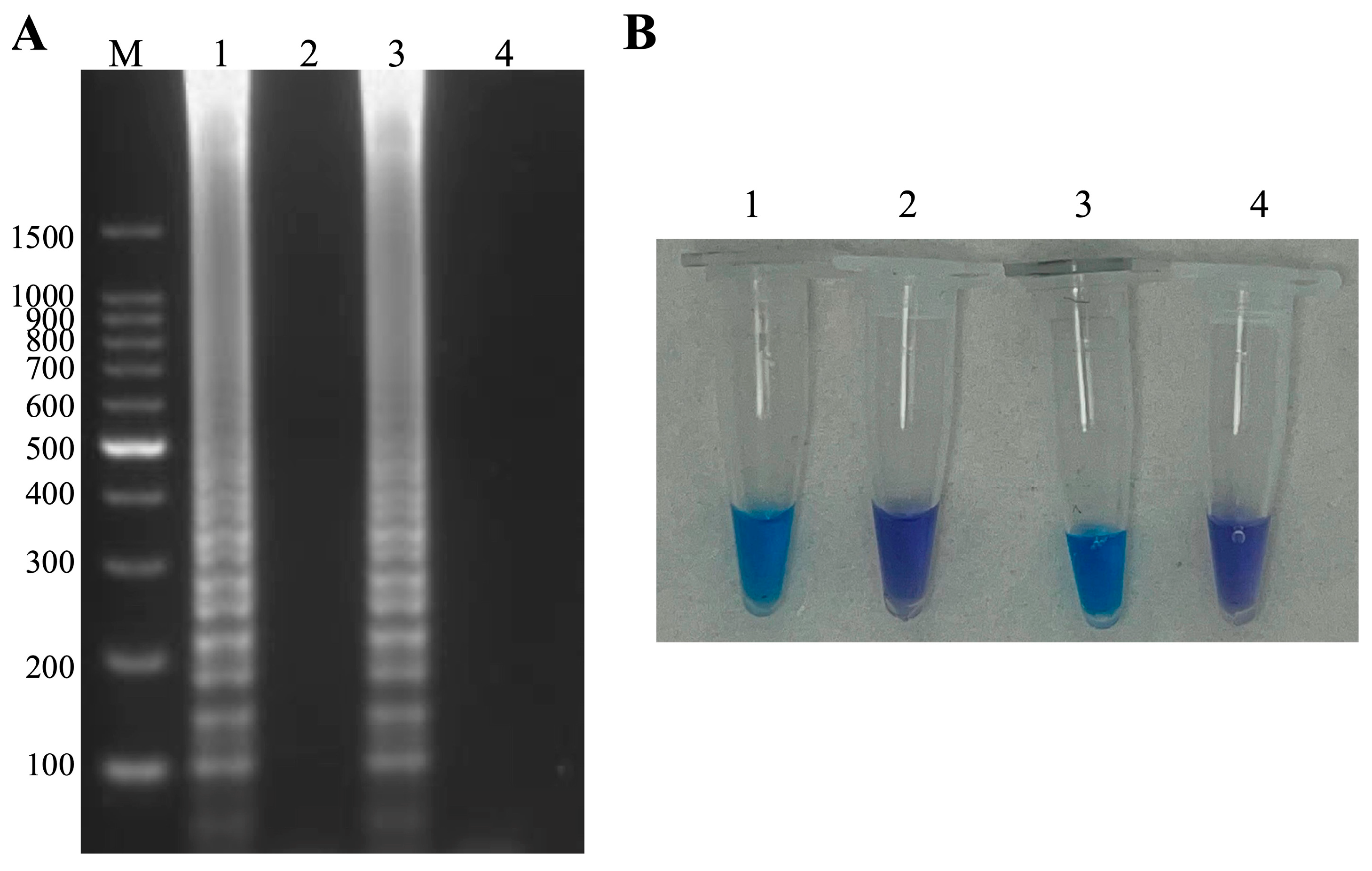 Microorganisms 13 00586 g001 Microorganisms 13 00586 g001