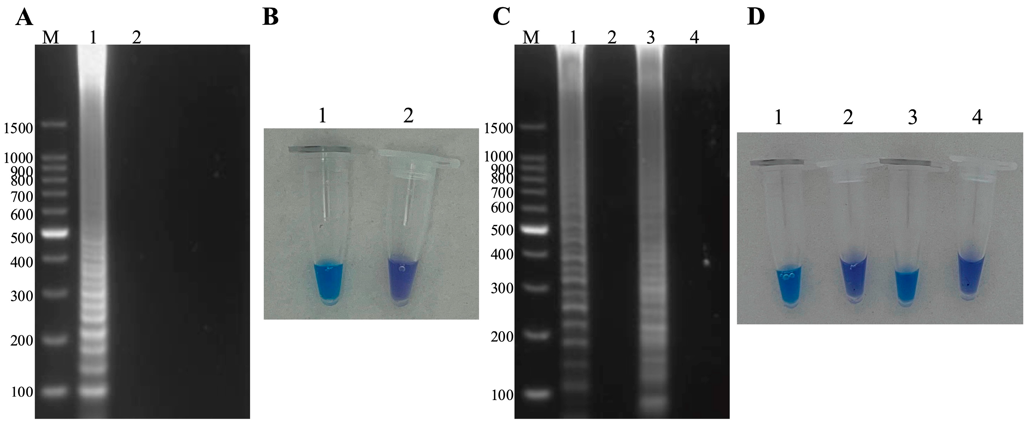 Microorganisms 13 00586 g002 Microorganisms 13 00586 g002