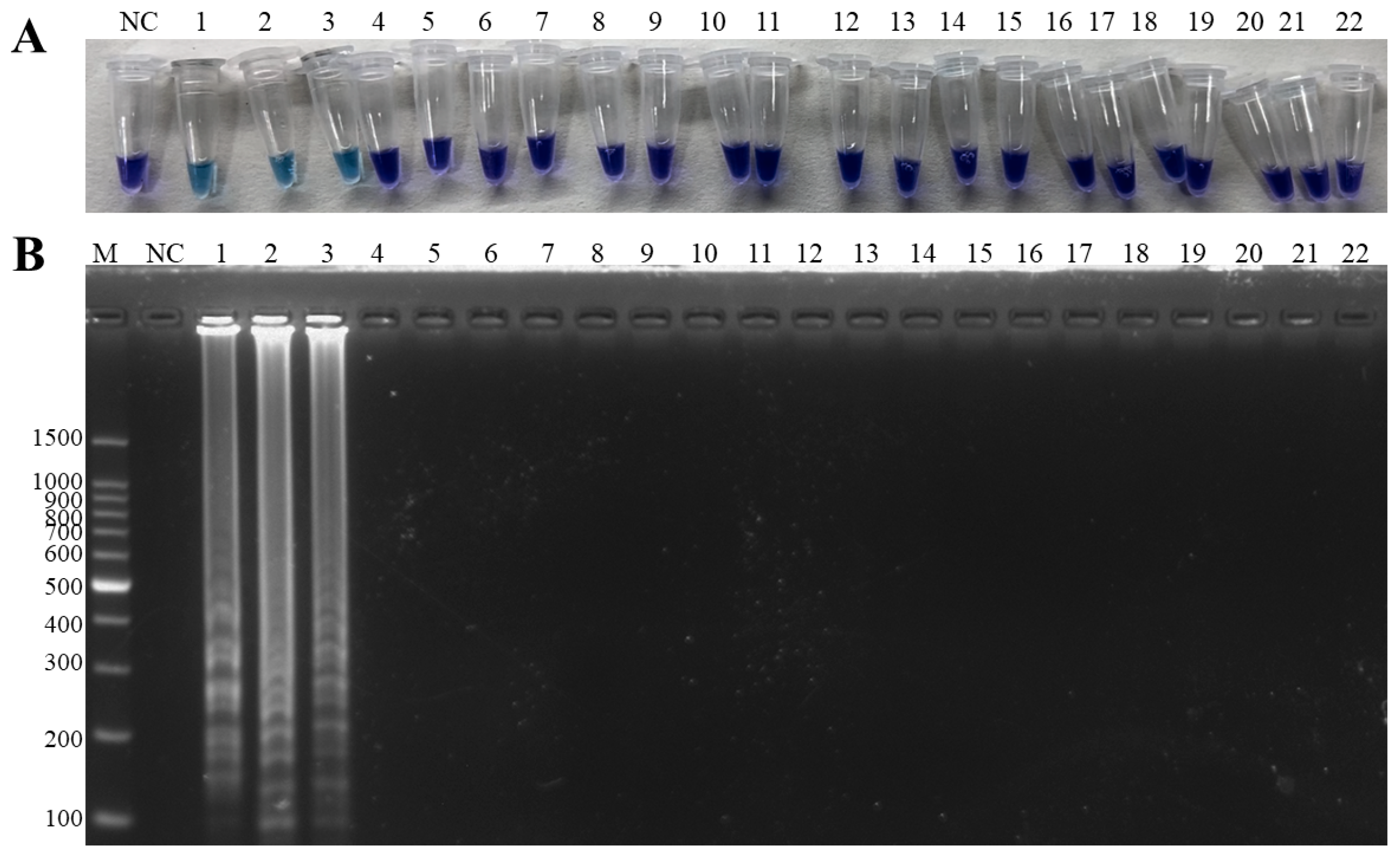 Microorganisms 13 00586 g003 Microorganisms 13 00586 g003