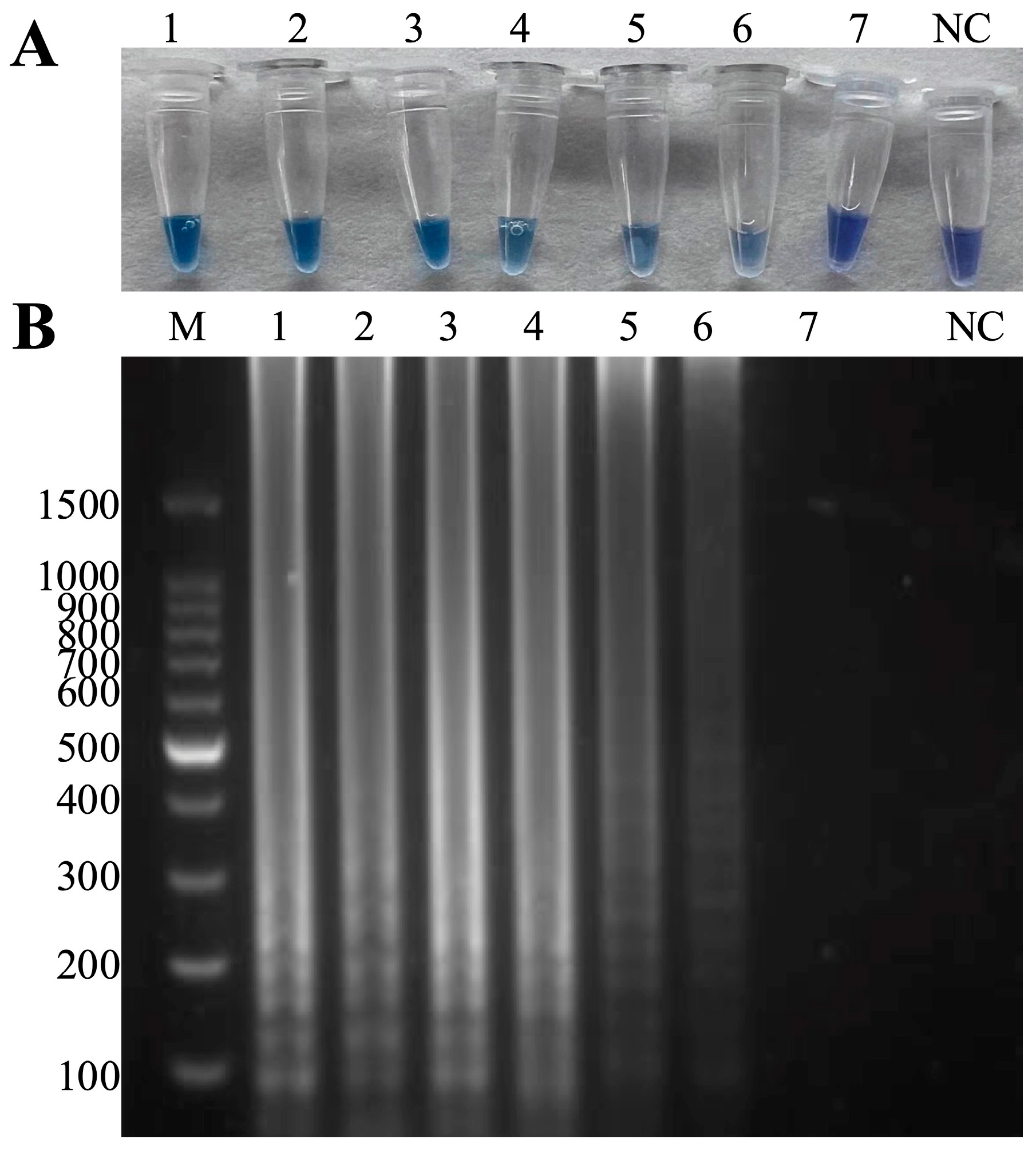 Microorganisms 13 00586 g006 Microorganisms 13 00586 g006