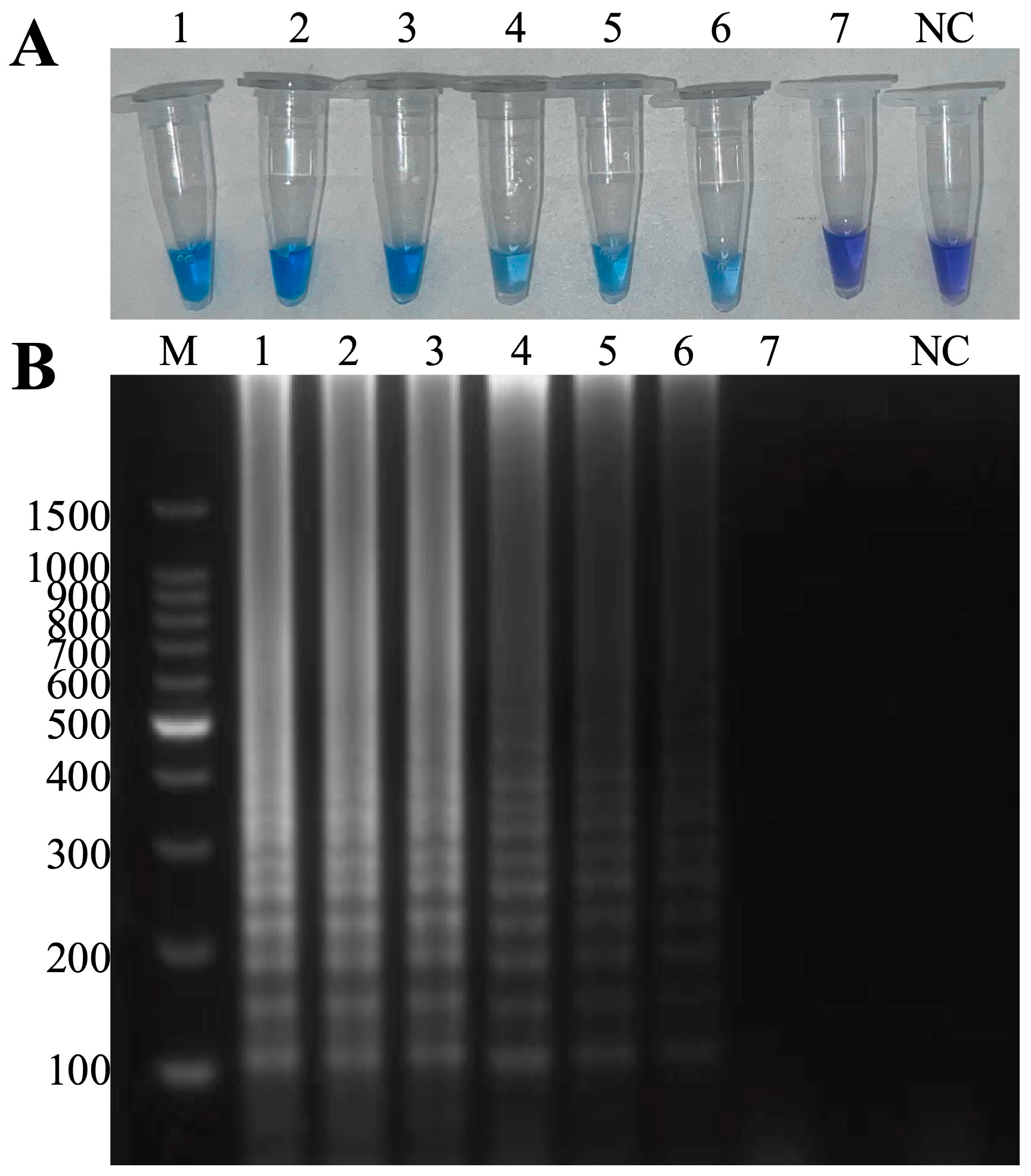 Microorganisms 13 00586 g007 Microorganisms 13 00586 g007