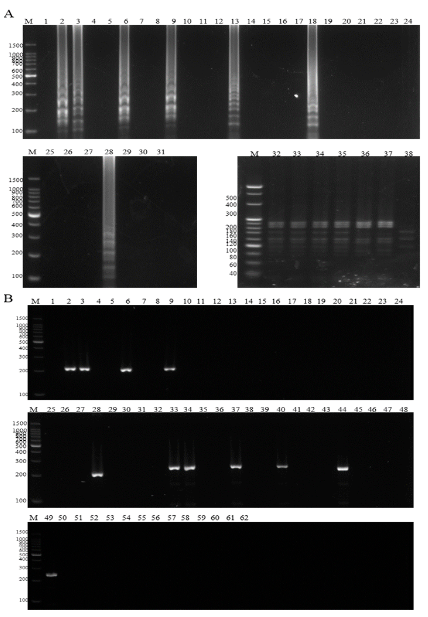Microorganisms 13 00586 g008 Microorganisms 13 00586 g008