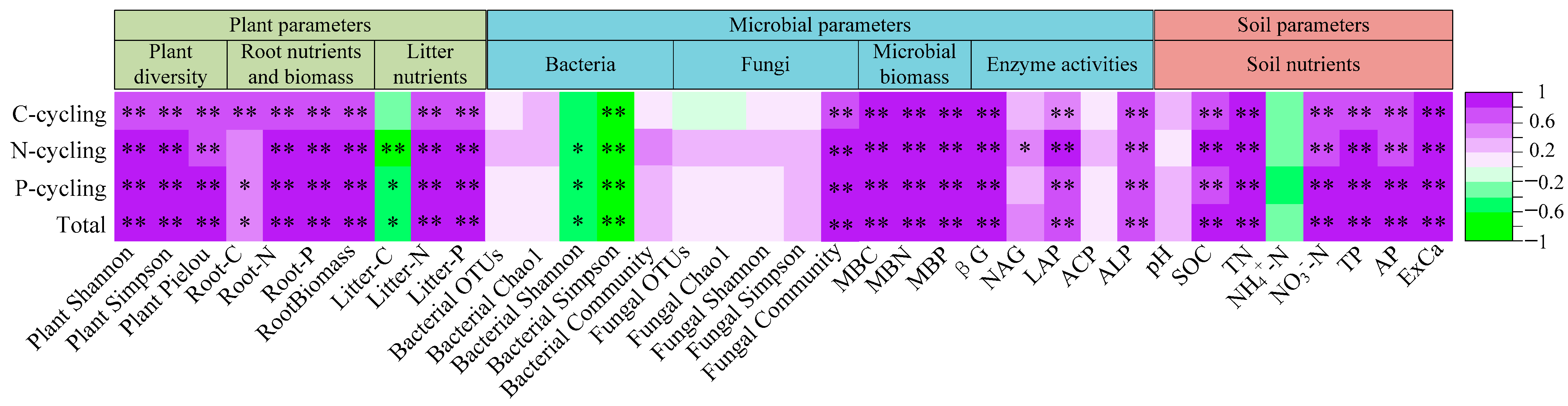 Microorganisms 13 00590 g008